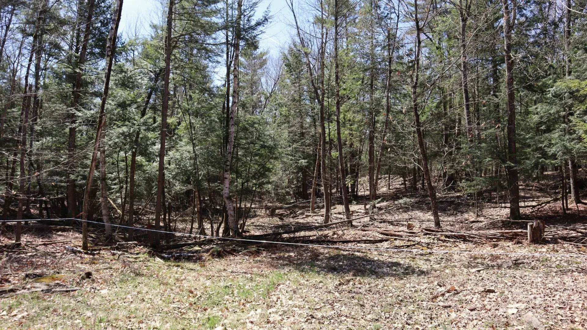 Property at 1710 Truthville Rd, Whitehall, NY 12887 91