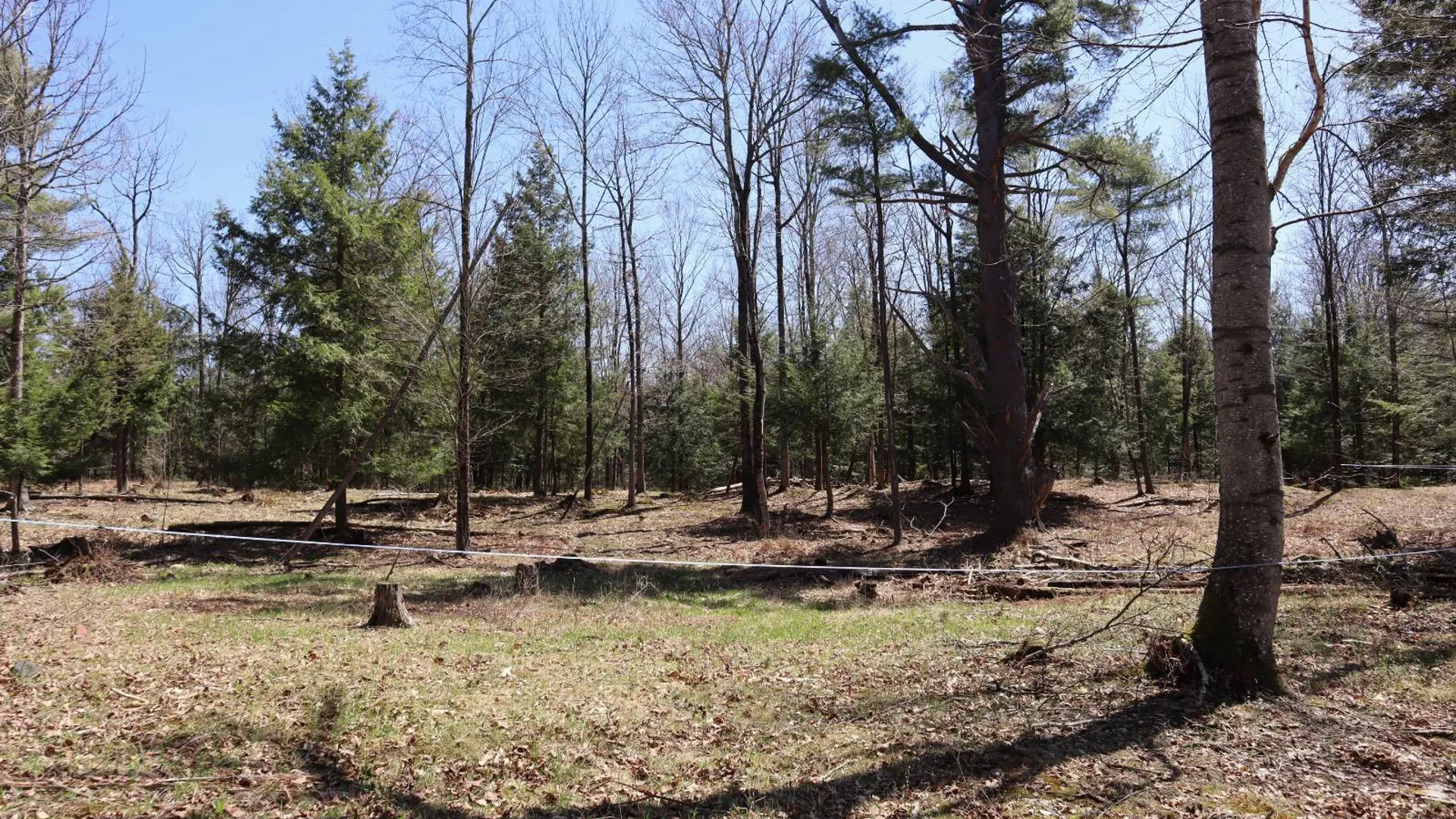 Property at 1710 Truthville Rd, Whitehall, NY 12887 93
