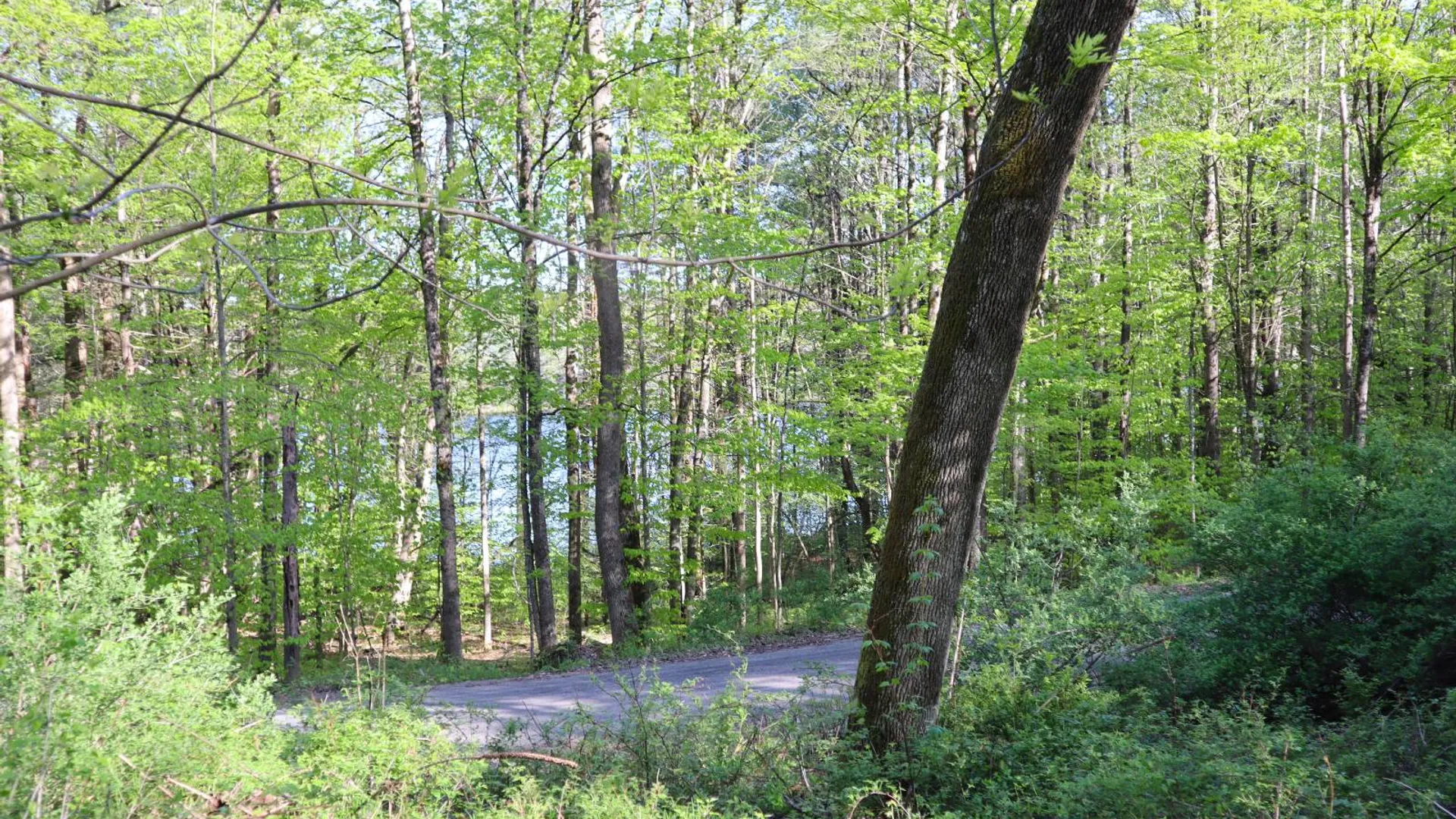 Property at 322 Gifford Valley Rd, Northampton, NY 12134 10