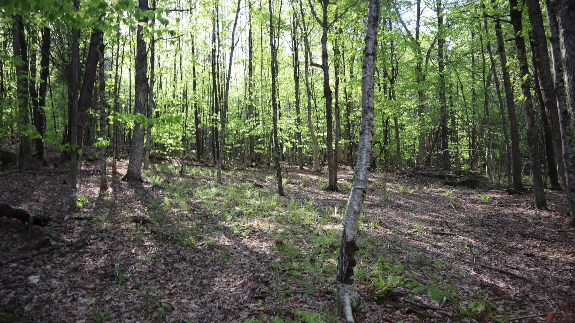 Property at 322 Gifford Valley Rd, Northampton, NY 12134 12