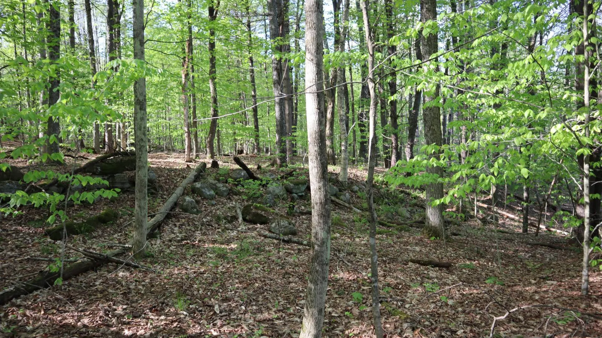 Property at 322 Gifford Valley Rd, Northampton, NY 12134 39