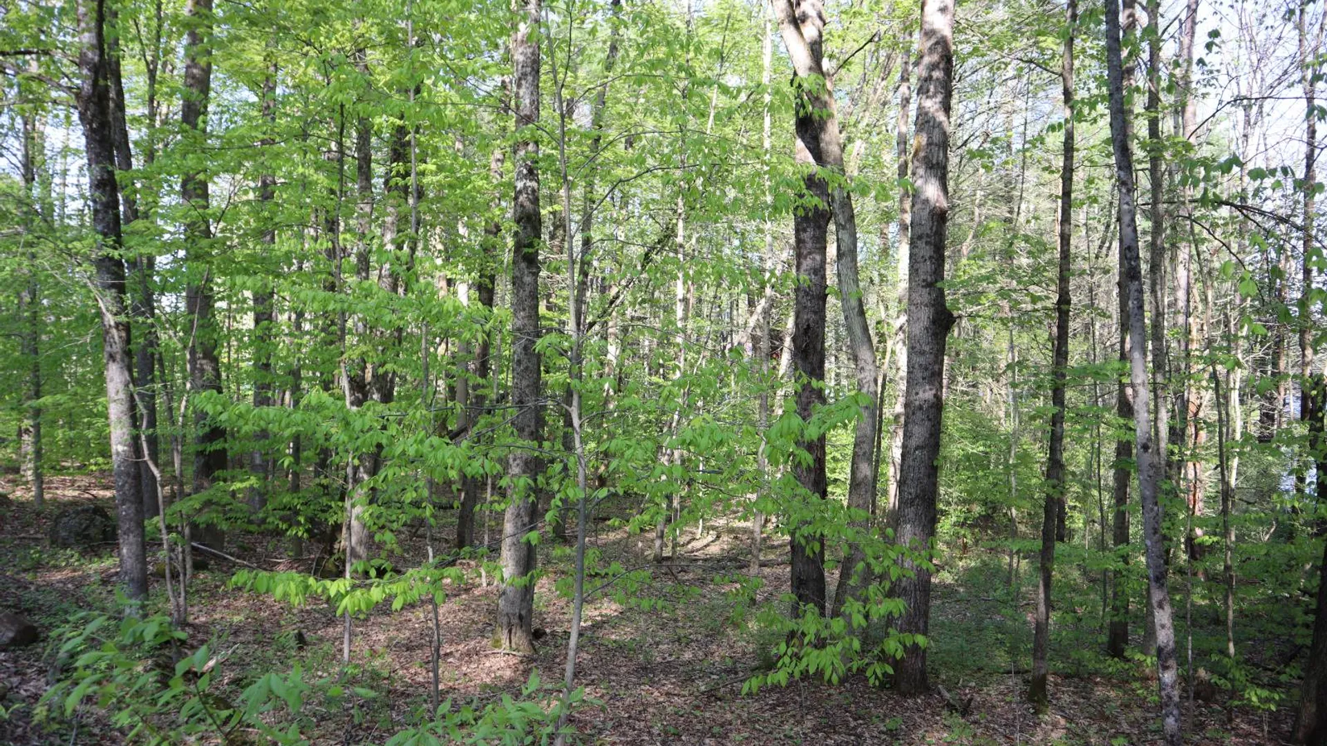Property at 322 Gifford Valley Rd, Northampton, NY 12134 43