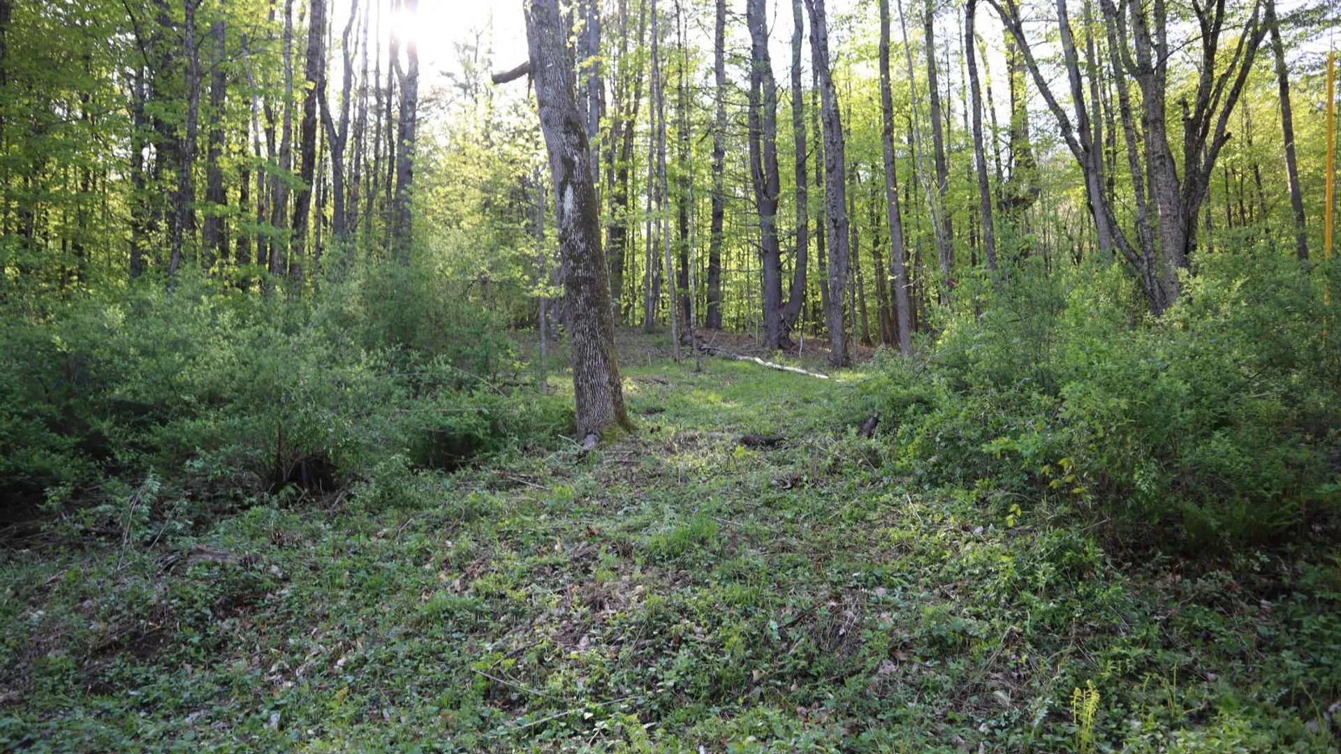 Property at 322 Gifford Valley Rd, Northampton, NY 12134 45