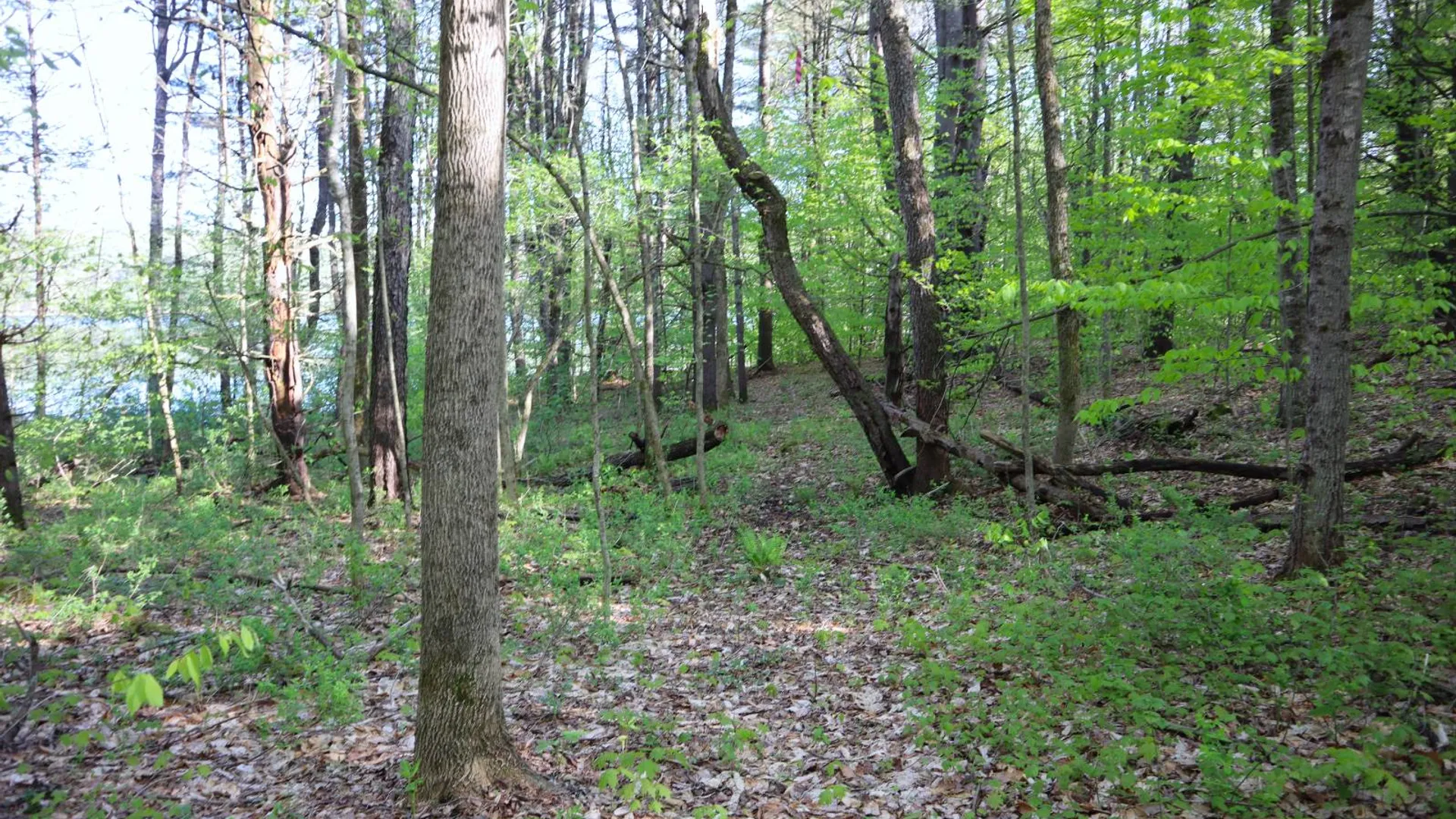 Property at 322 Gifford Valley Rd, Northampton, NY 12134 5