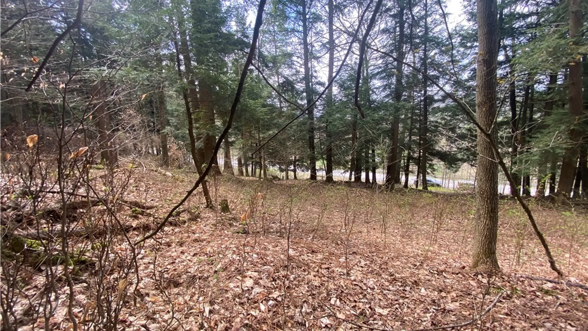 Property at Lot A Piermott Lane, Hartwick, NY 13348 10