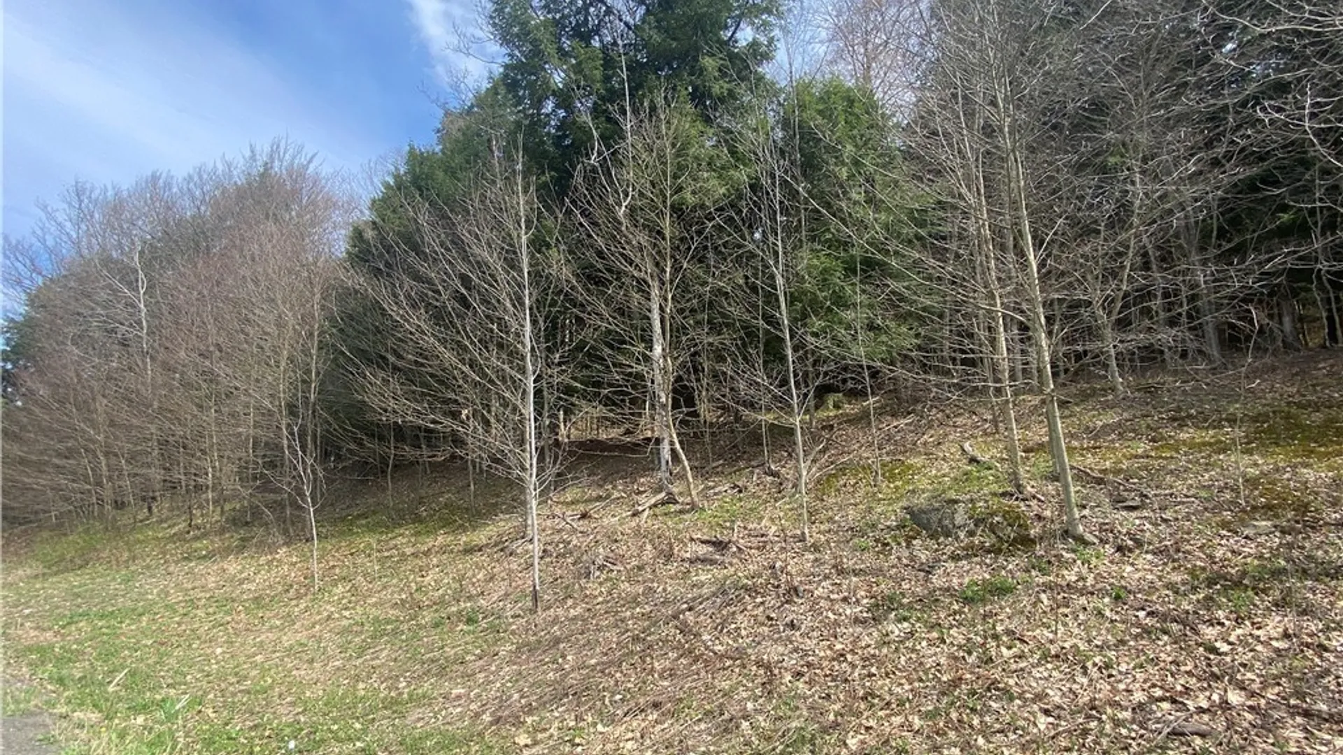 Property at Lot A Piermott Lane, Hartwick, NY 13348 2
