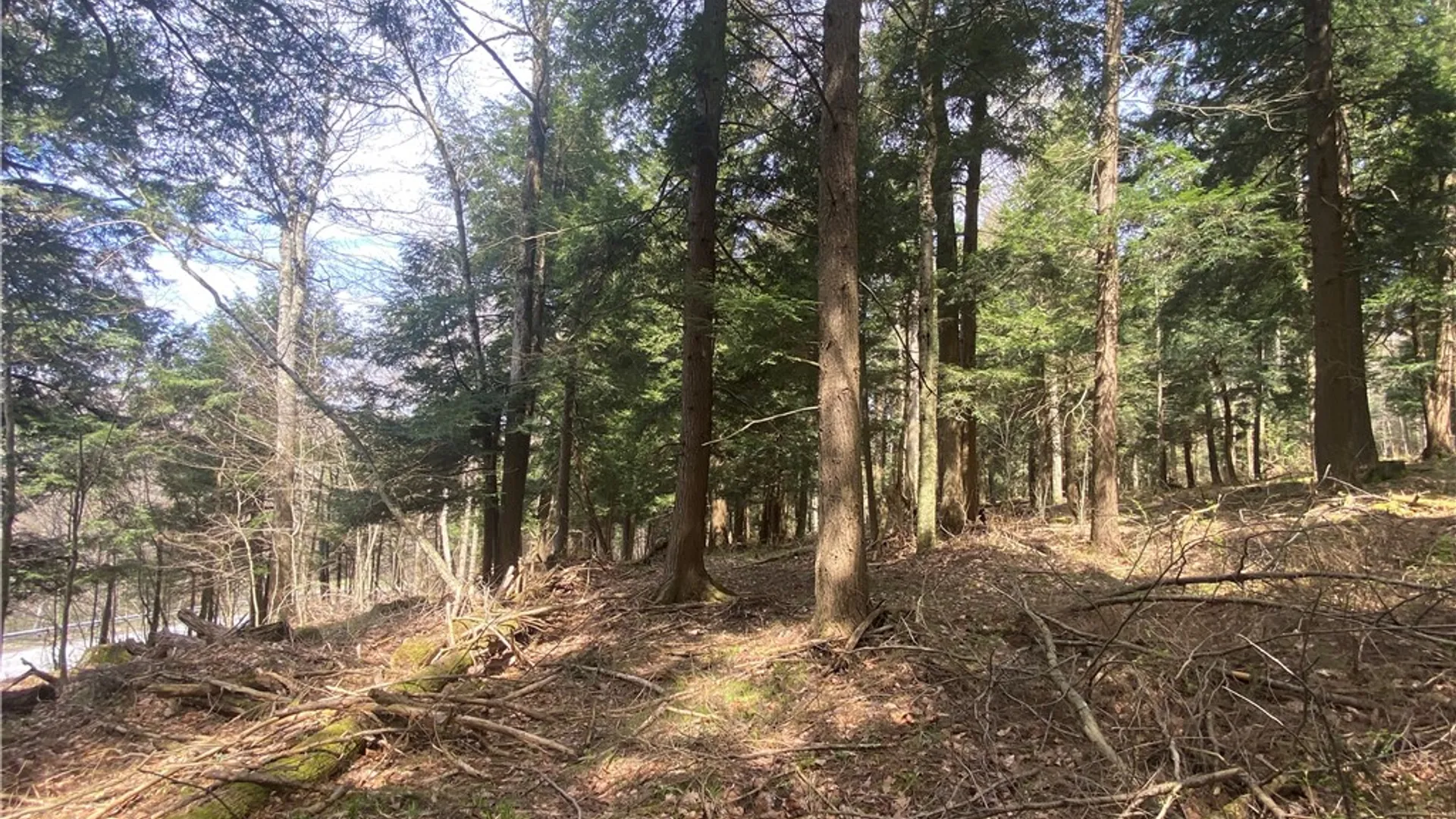 Property at Lot A Piermott Lane, Hartwick, NY 13348 3