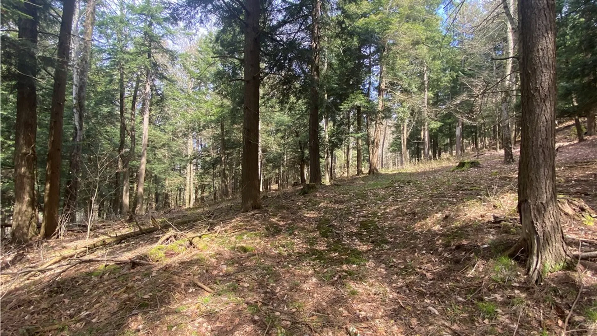 Property at Lot A Piermott Lane, Hartwick, NY 13348 4