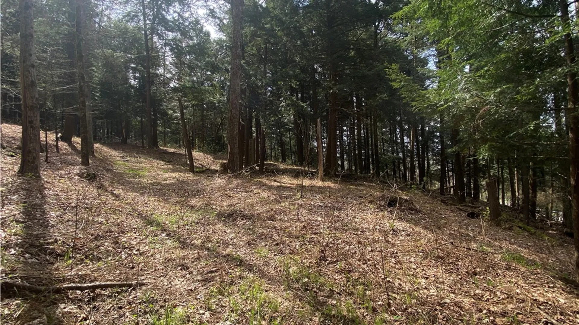 Property at Lot A Piermott Lane, Hartwick, NY 13348 5