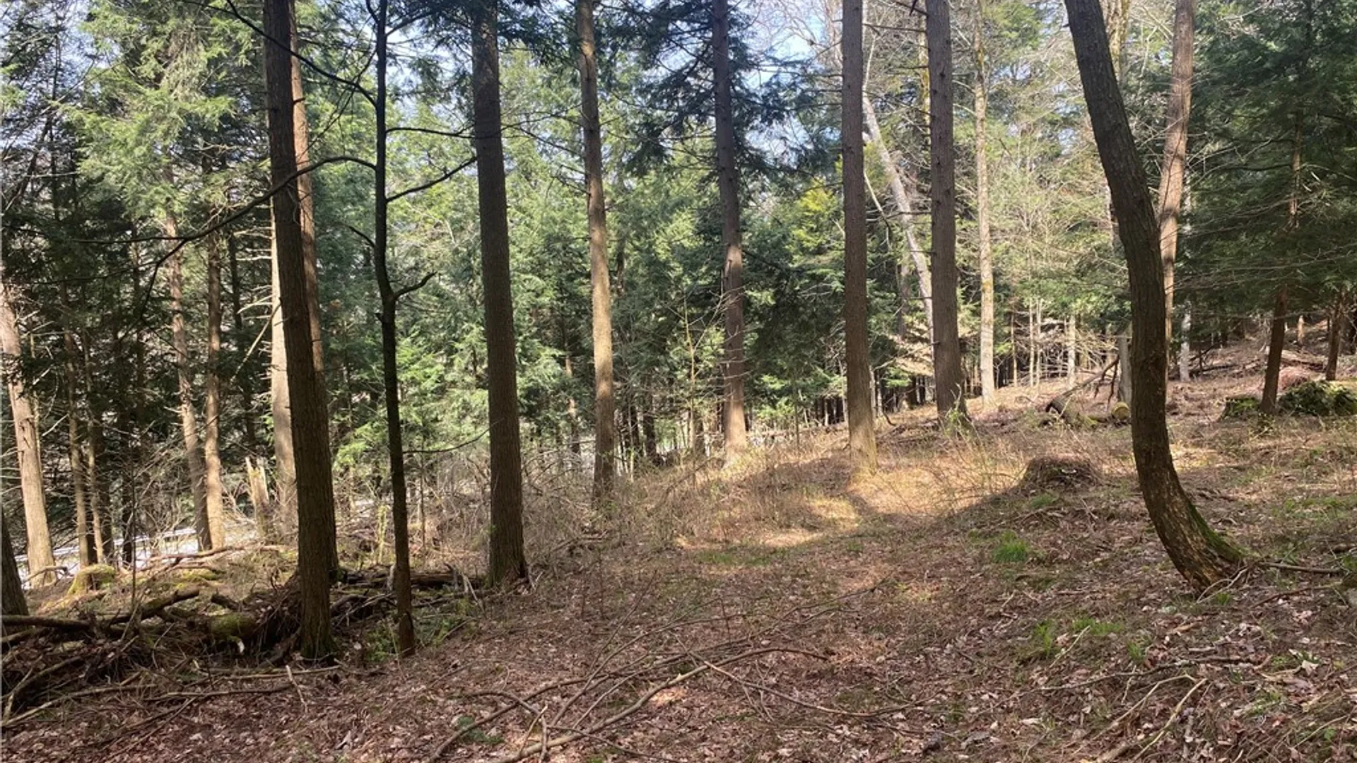 Property at Lot A Piermott Lane, Hartwick, NY 13348 6