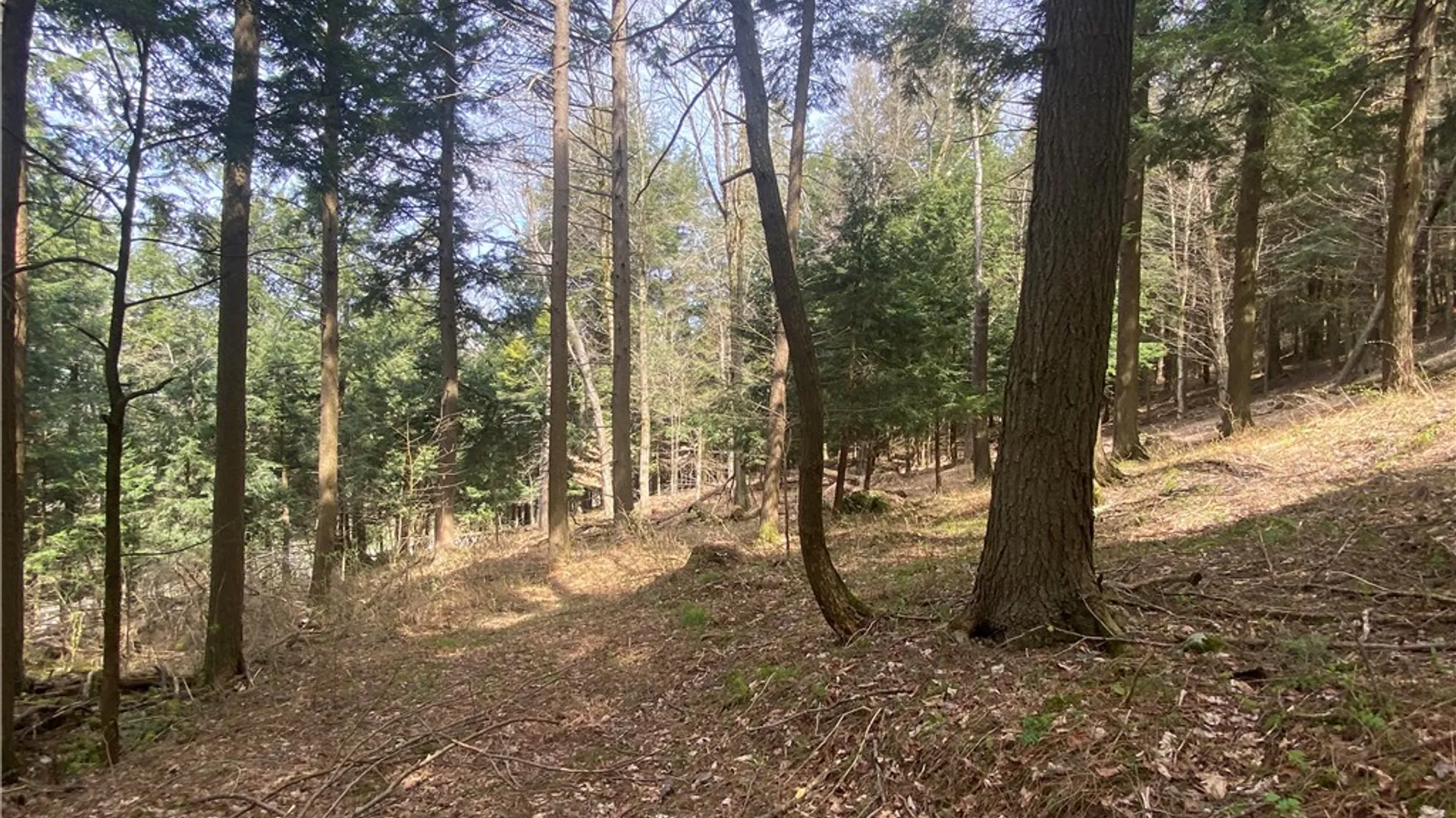 Property at Lot A Piermott Lane, Hartwick, NY 13348 7