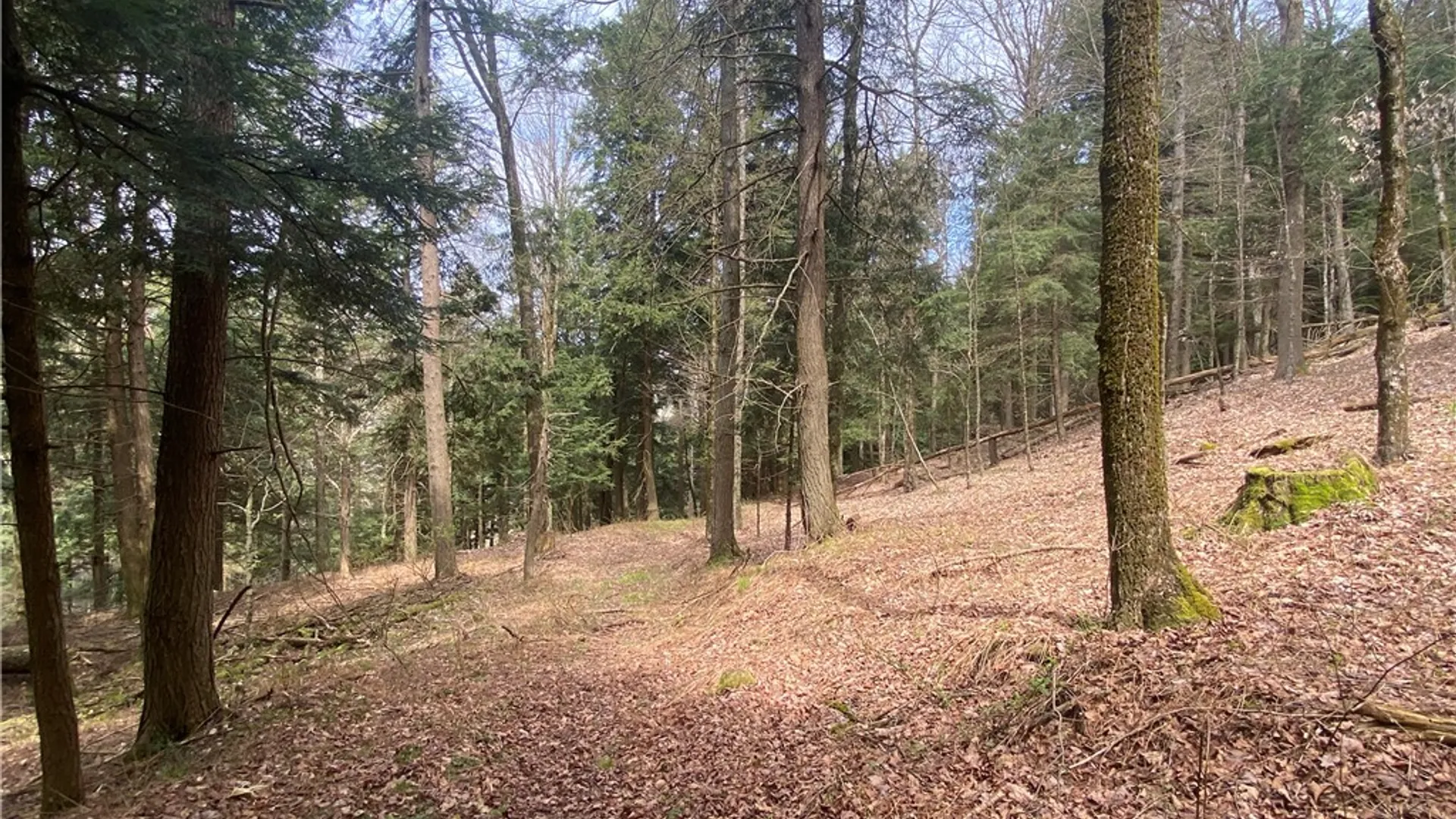 Property at Lot A Piermott Lane, Hartwick, NY 13348 8