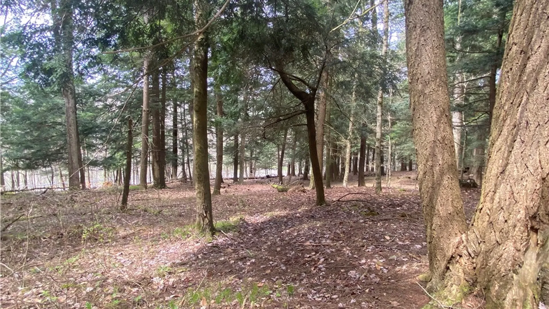 Property at Lot A Piermott Lane, Hartwick, NY 13348 9