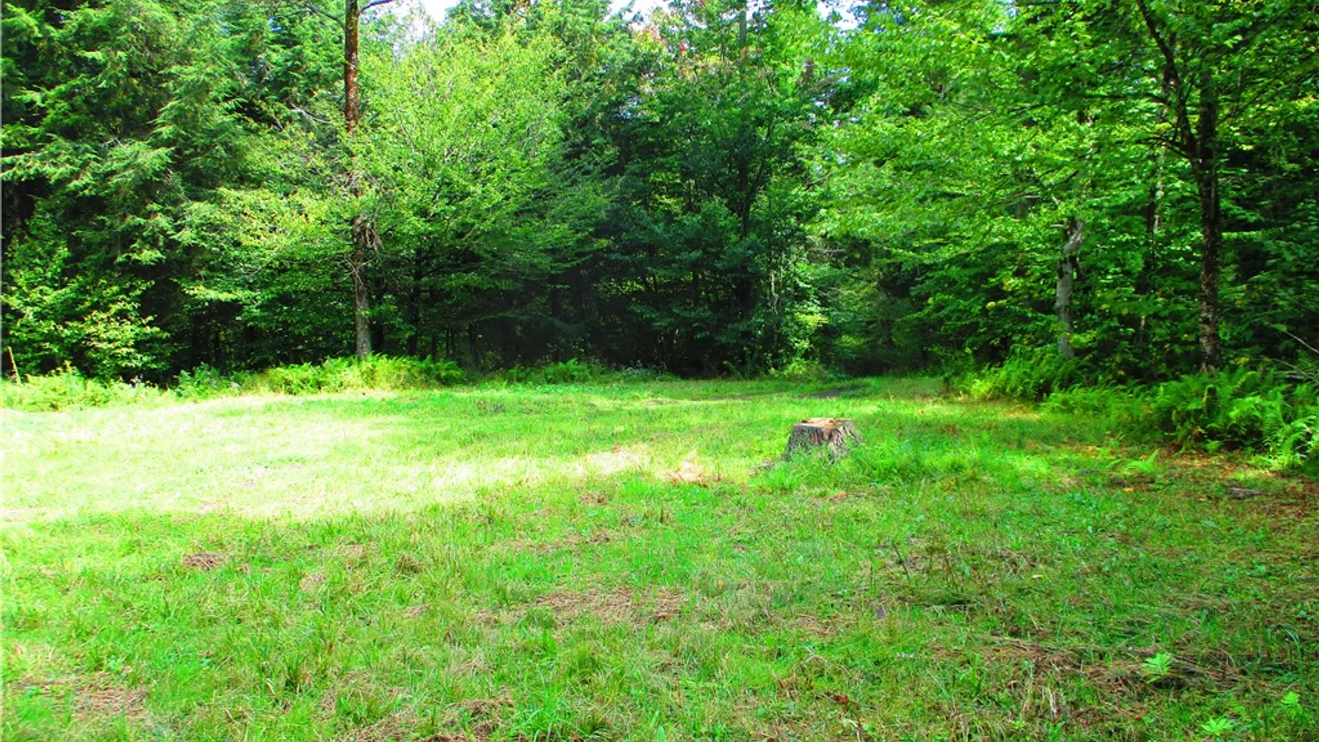 Property at 0 Campbell Hill Road, Middlefield, NY 13326 8