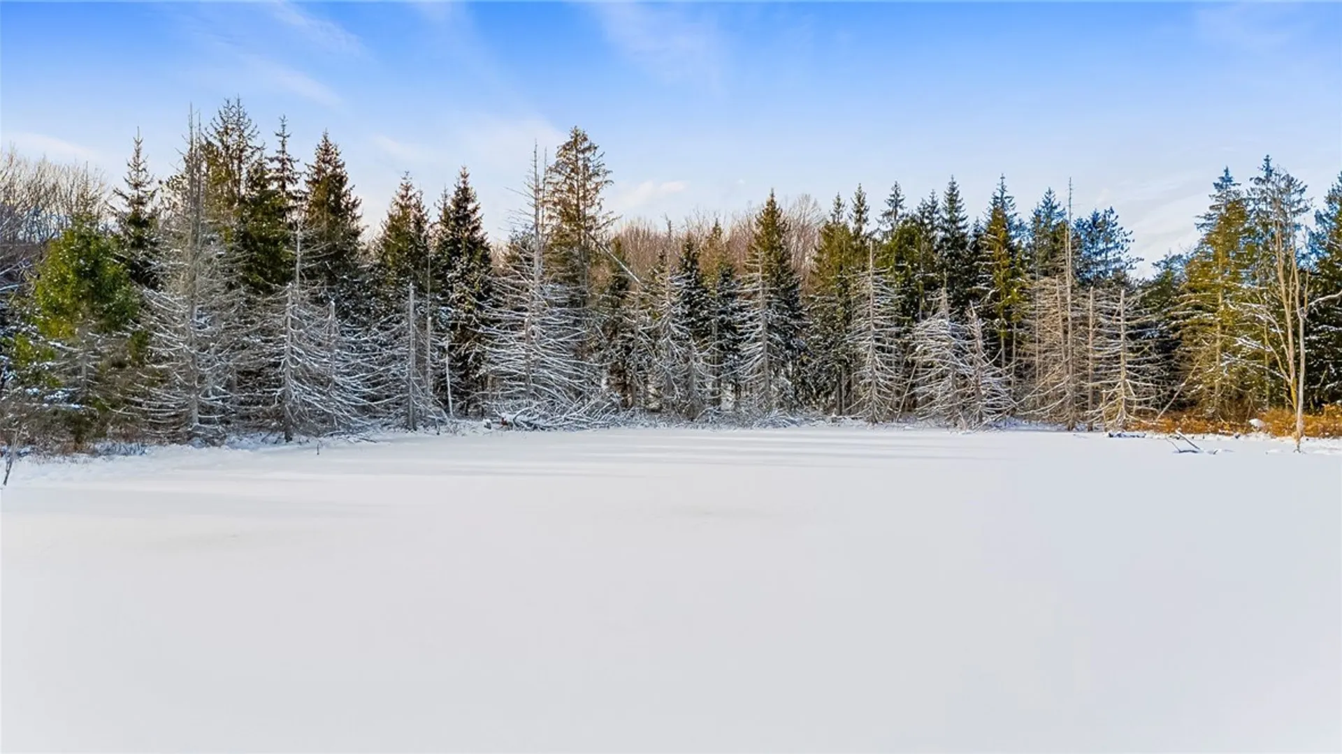Property at L1 County Road 16, Otselic, NY 13815 13