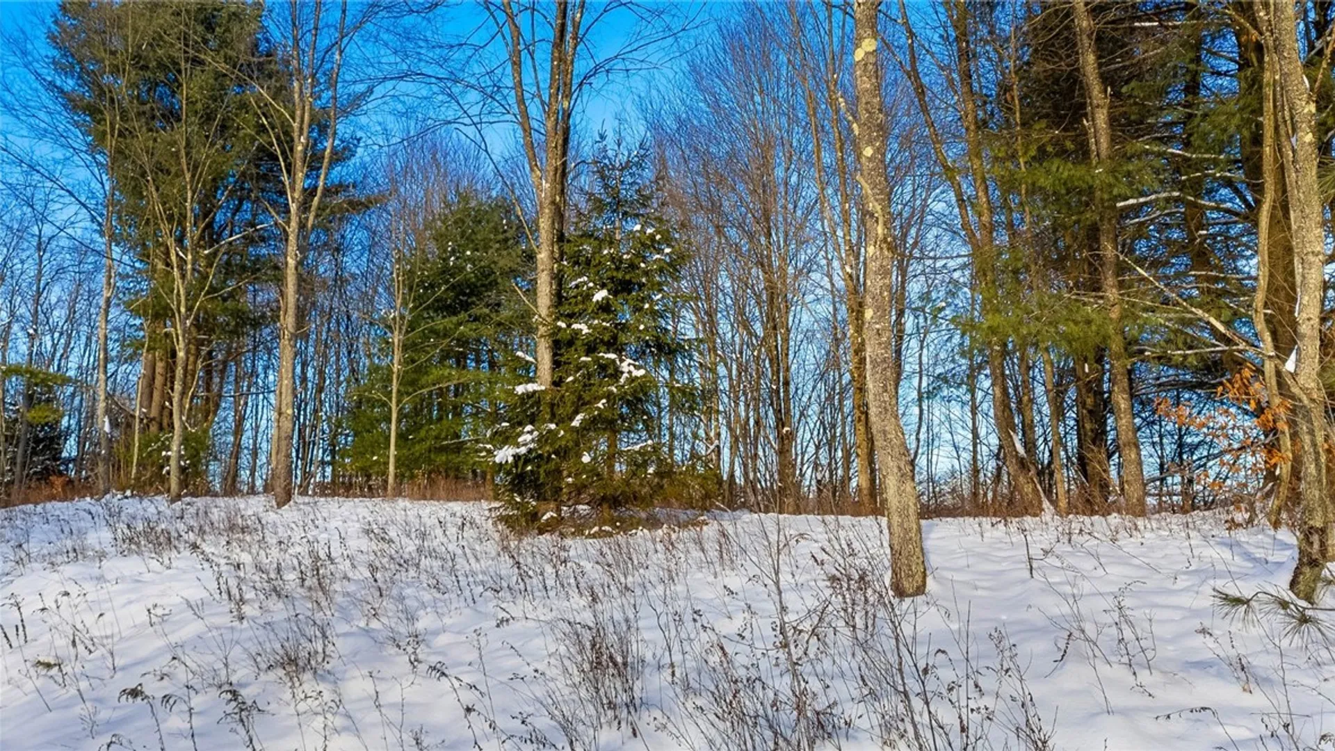 Property at L1 County Road 16, Otselic, NY 13815 19