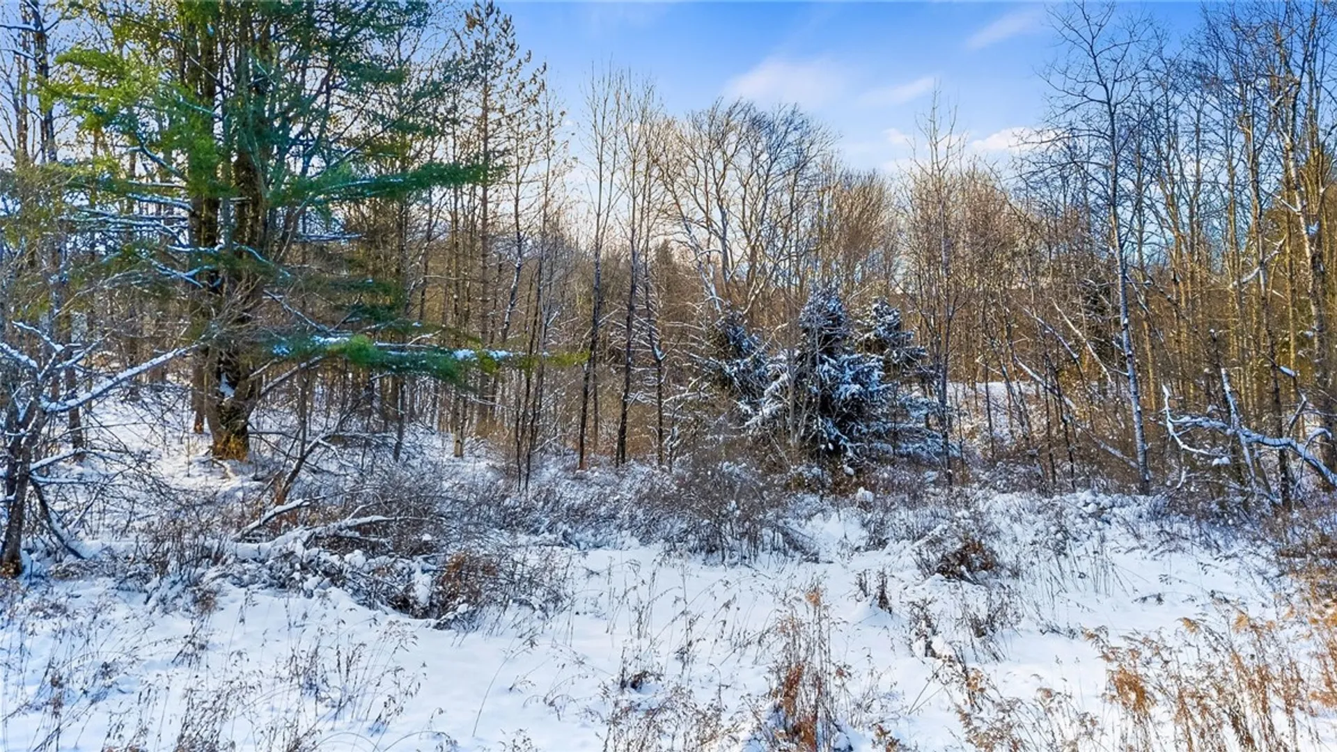Property at L1 County Road 16, Otselic, NY 13815 20