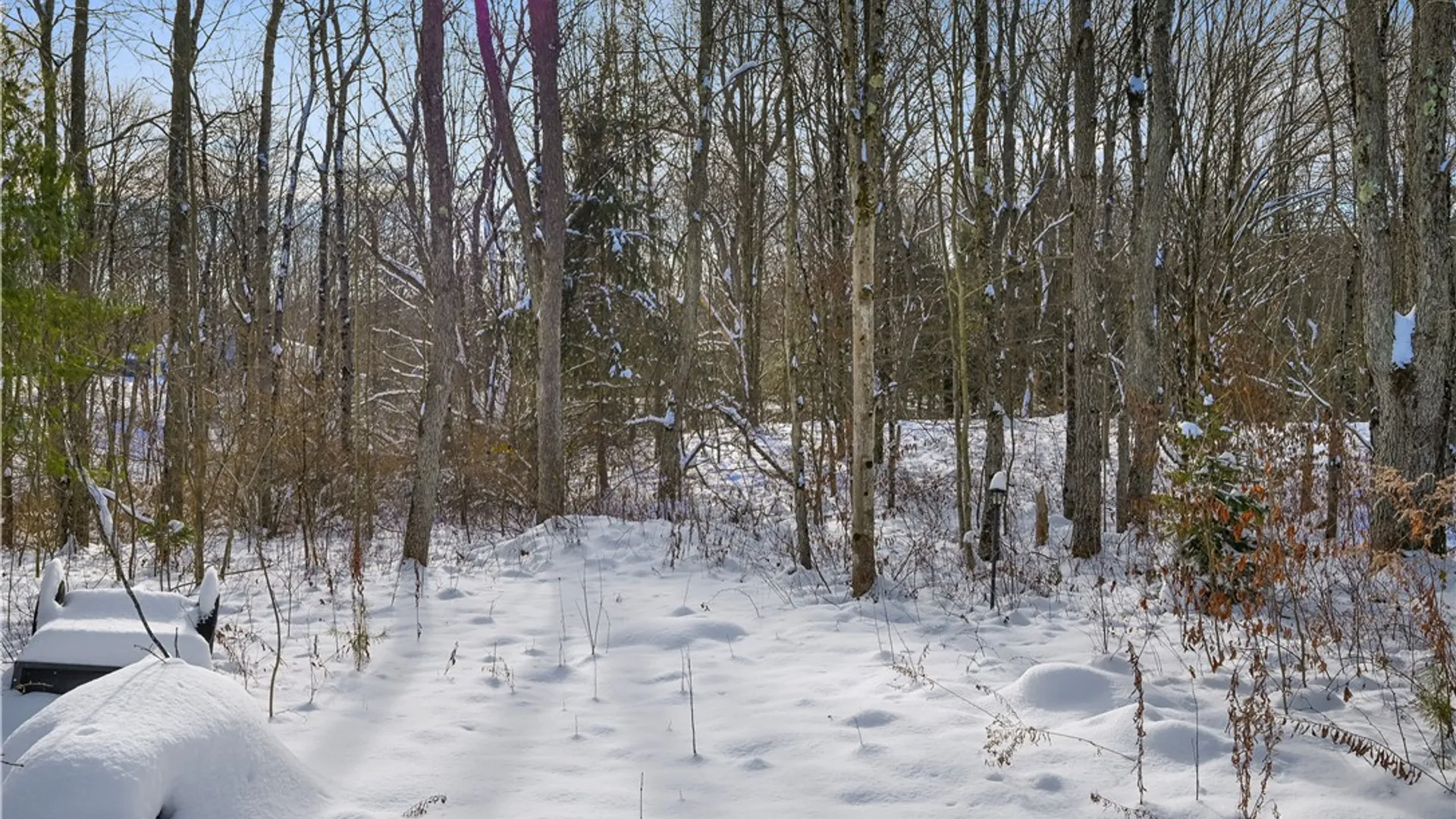 Property at L1 County Road 16, Otselic, NY 13815 27