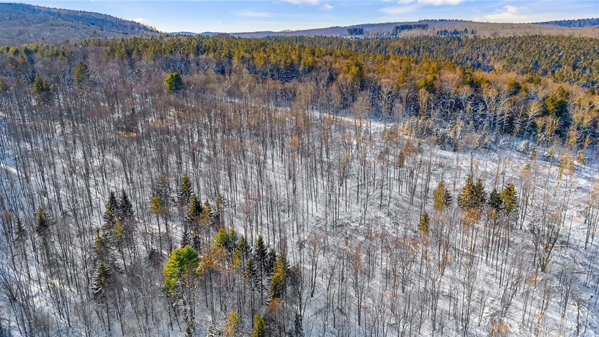 Property at L1 County Road 16, Otselic, NY 13815 7