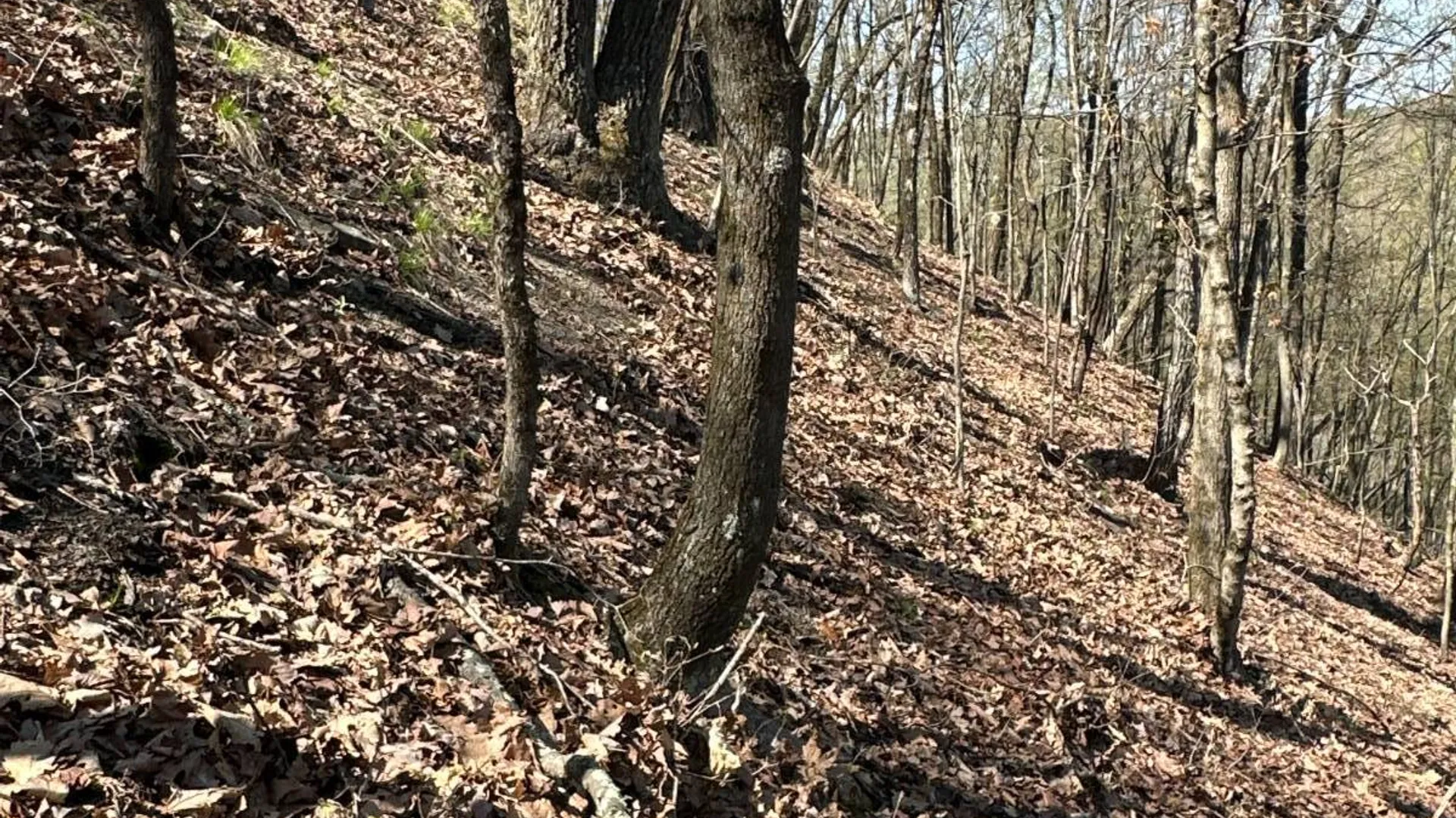 Property at 00WP Haas Hill Rd, New Baltimore, NY 12192 10