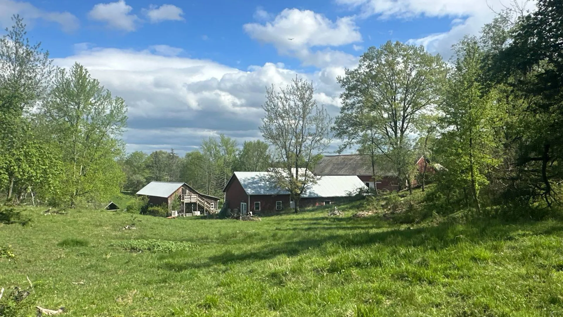 Property at 523 Lime Kiln Rd, West Coxsackie, NY 12192 18