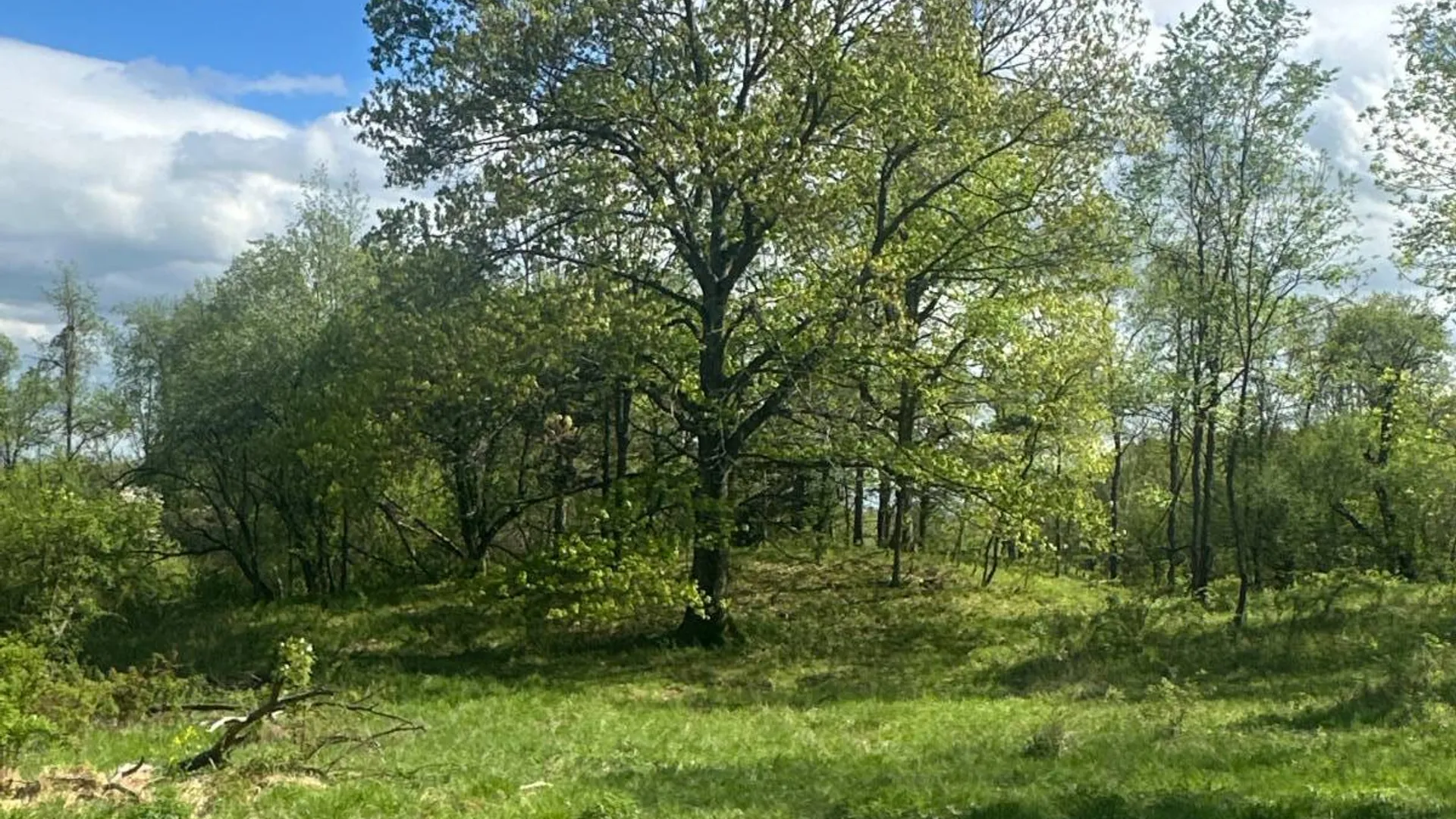Property at 523 Lime Kiln Rd, West Coxsackie, NY 12192 20