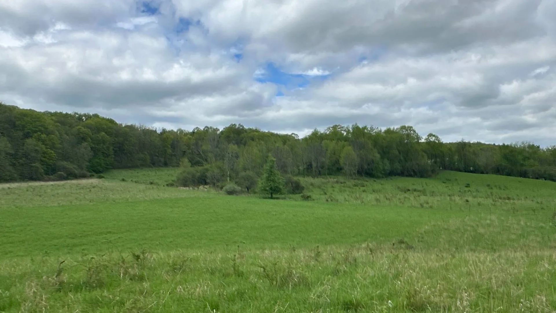 Property at 523 Lime Kiln Rd, West Coxsackie, NY 12192 27