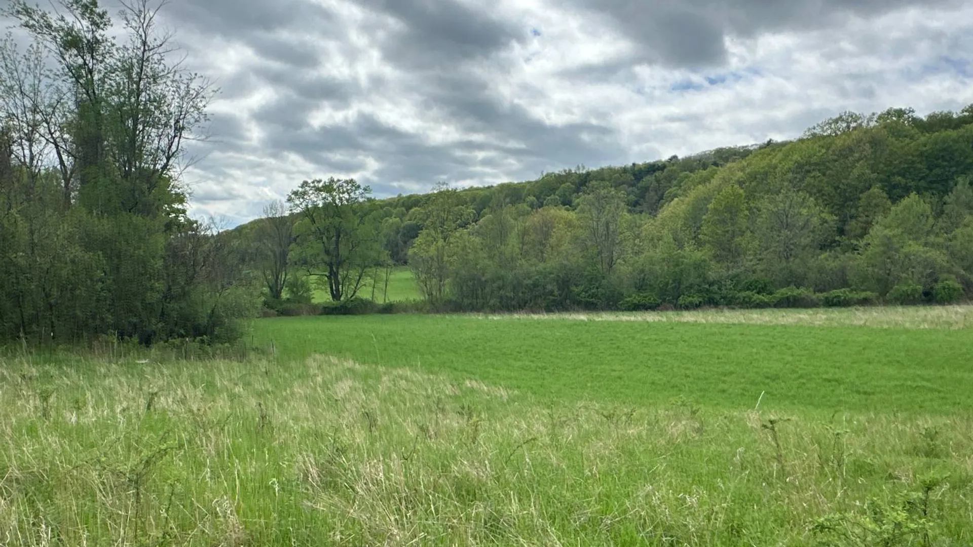 Property at 523 Lime Kiln Rd, West Coxsackie, NY 12192 28