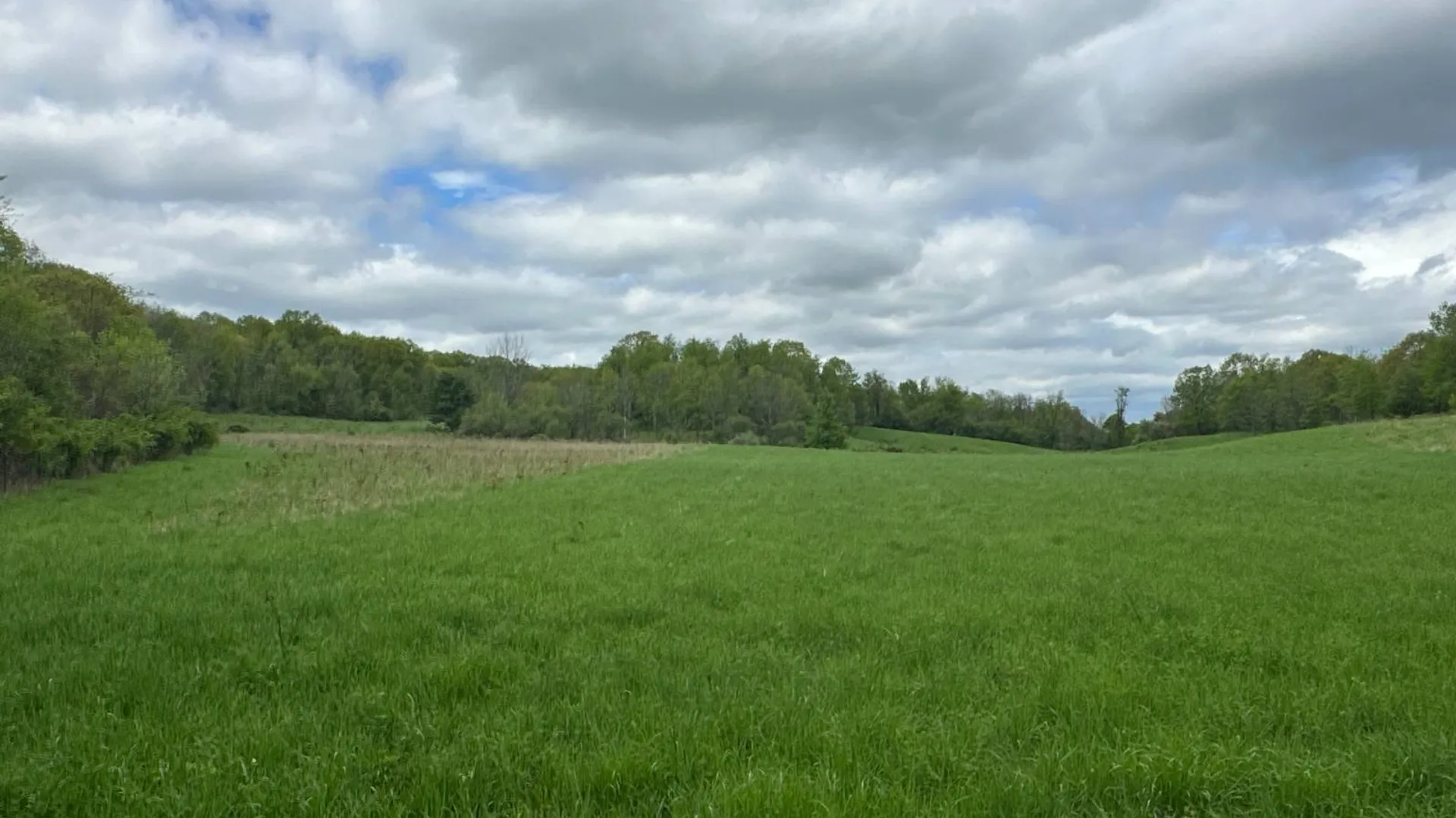 Property at 523 Lime Kiln Rd, West Coxsackie, NY 12192 29