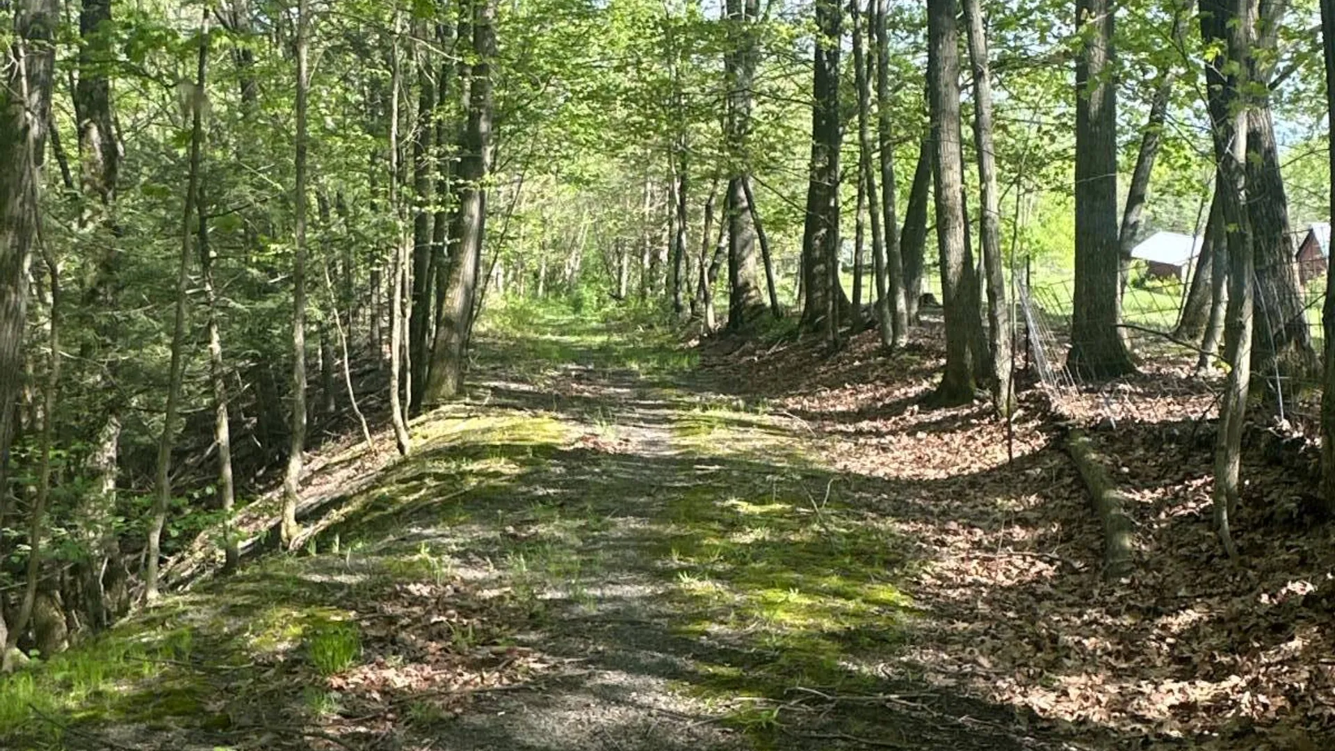 Property at 523 Lime Kiln Rd, West Coxsackie, NY 12192 31