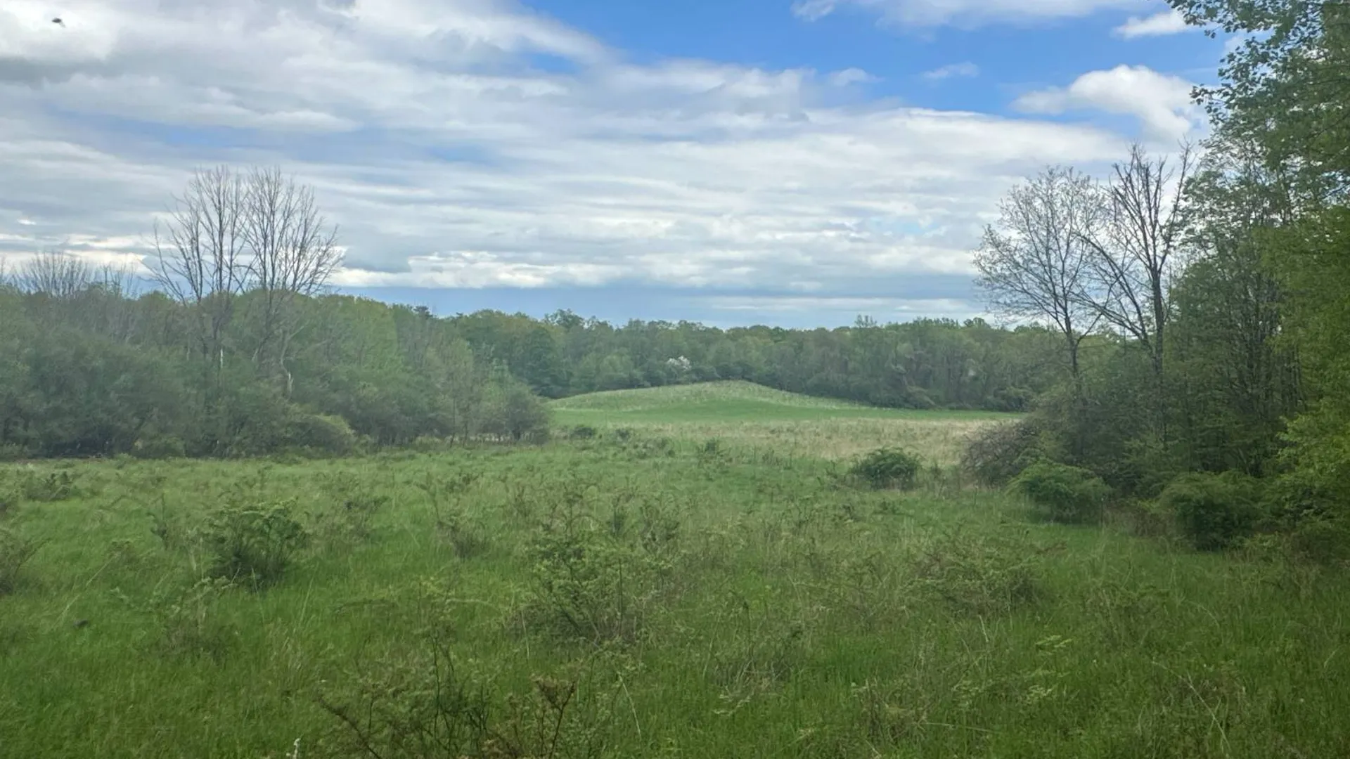 Property at 523 Lime Kiln Rd, West Coxsackie, NY 12192 33