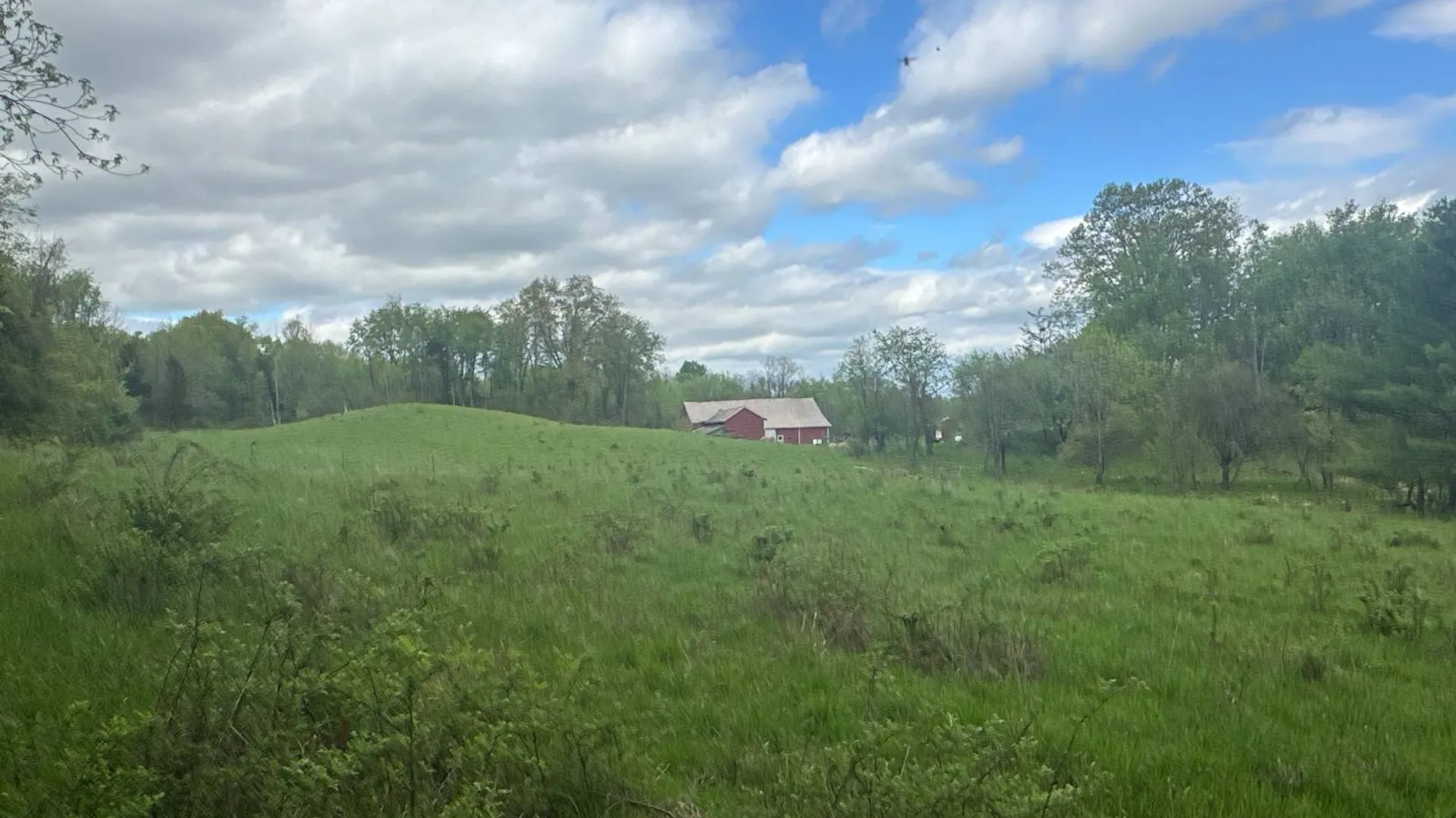 Property at 523 Lime Kiln Rd, West Coxsackie, NY 12192 34