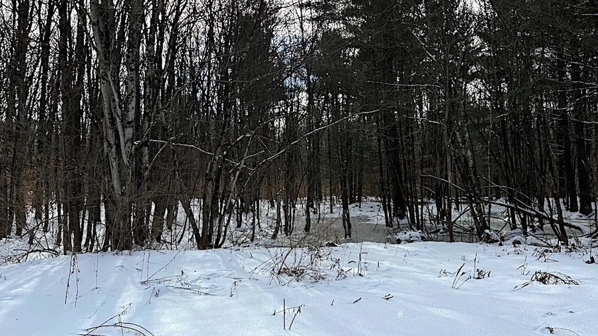 Property at 206 Durgee Road, Orwell, NY 13302 2