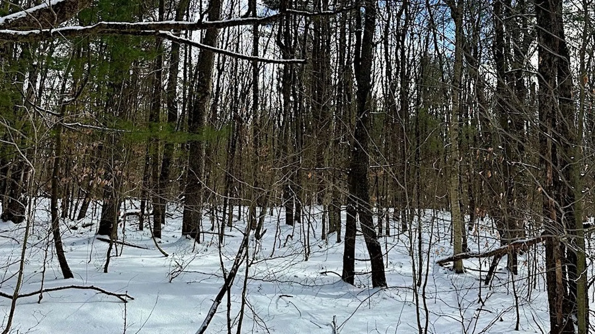 Property at 206 Durgee Road, Orwell, NY 13302 3