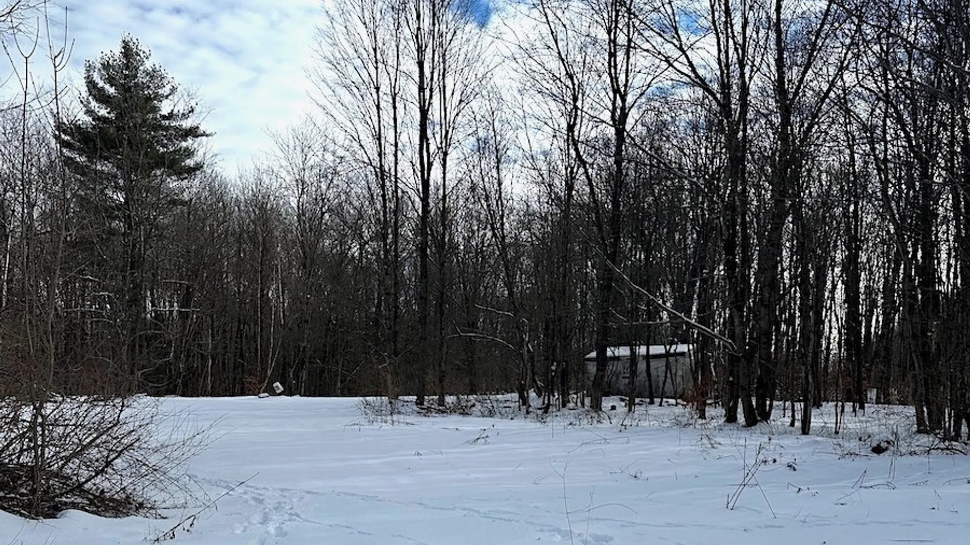 Property at 206 Durgee Road, Orwell, NY 13302 6