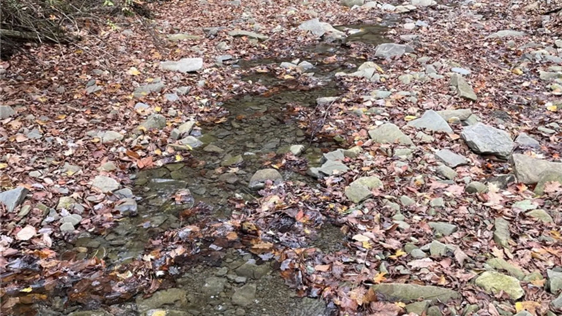 Property at 0 Parker Road, Campbell, NY 14821 2