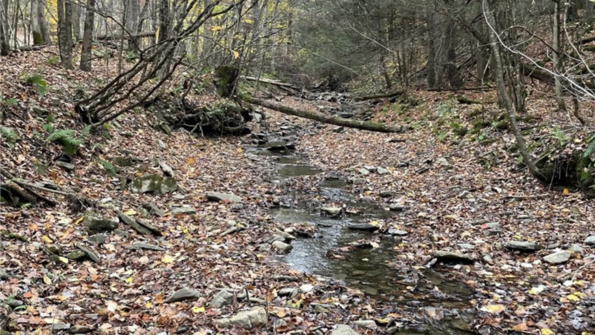 Property at 0 Parker Road, Campbell, NY 14821 3