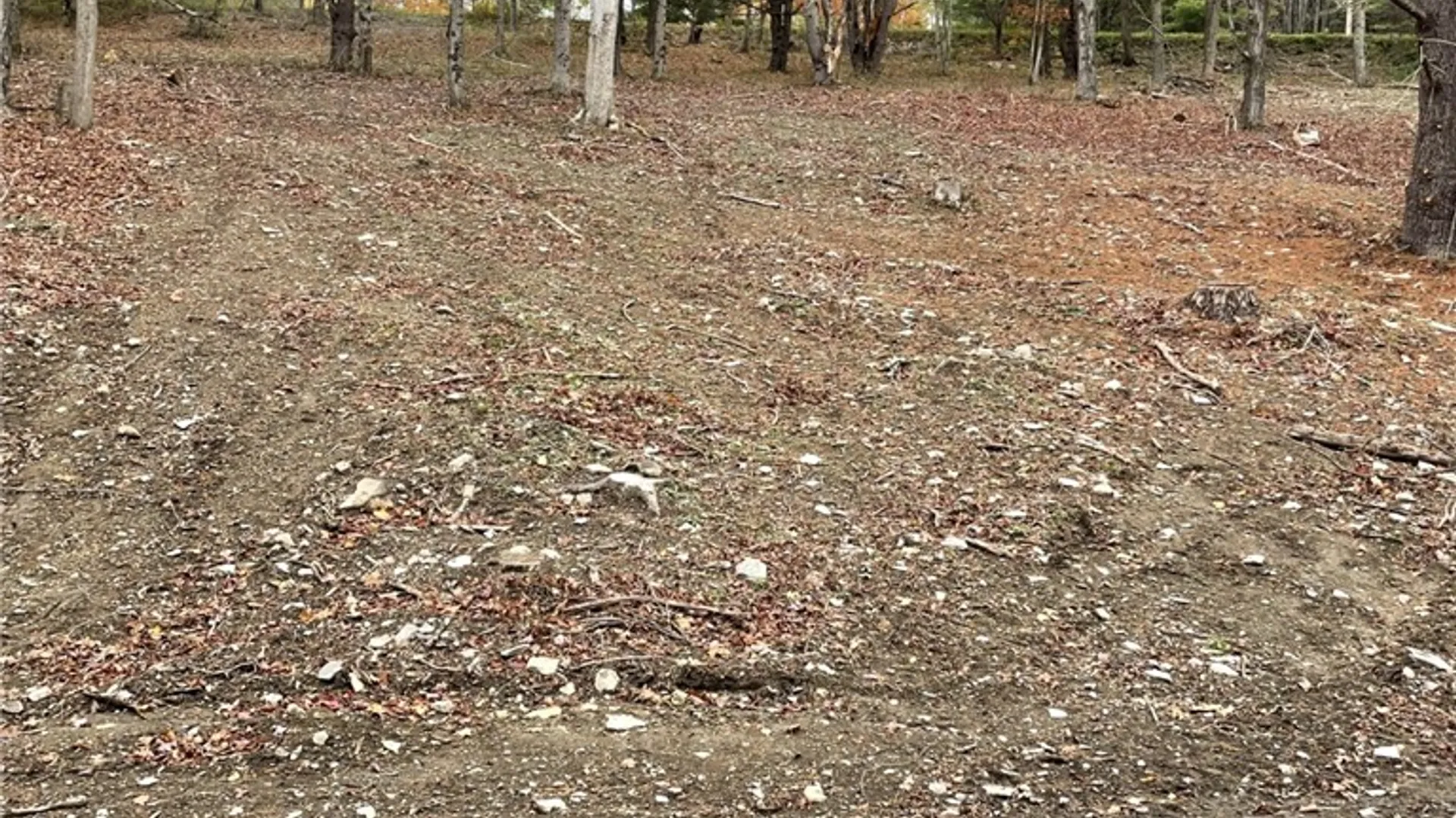 Property at 0 Parker Road, Campbell, NY 14821 5