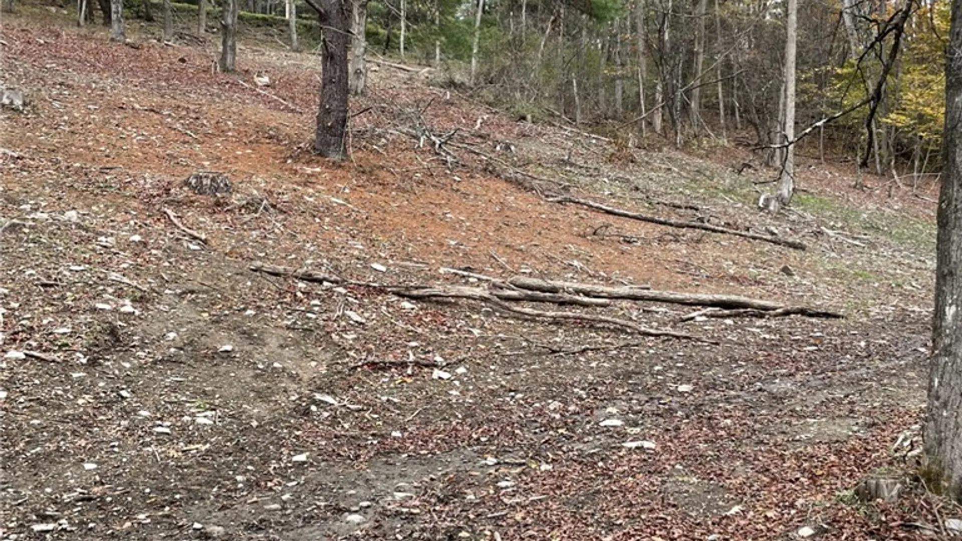 Property at 0 Parker Road, Campbell, NY 14821 6