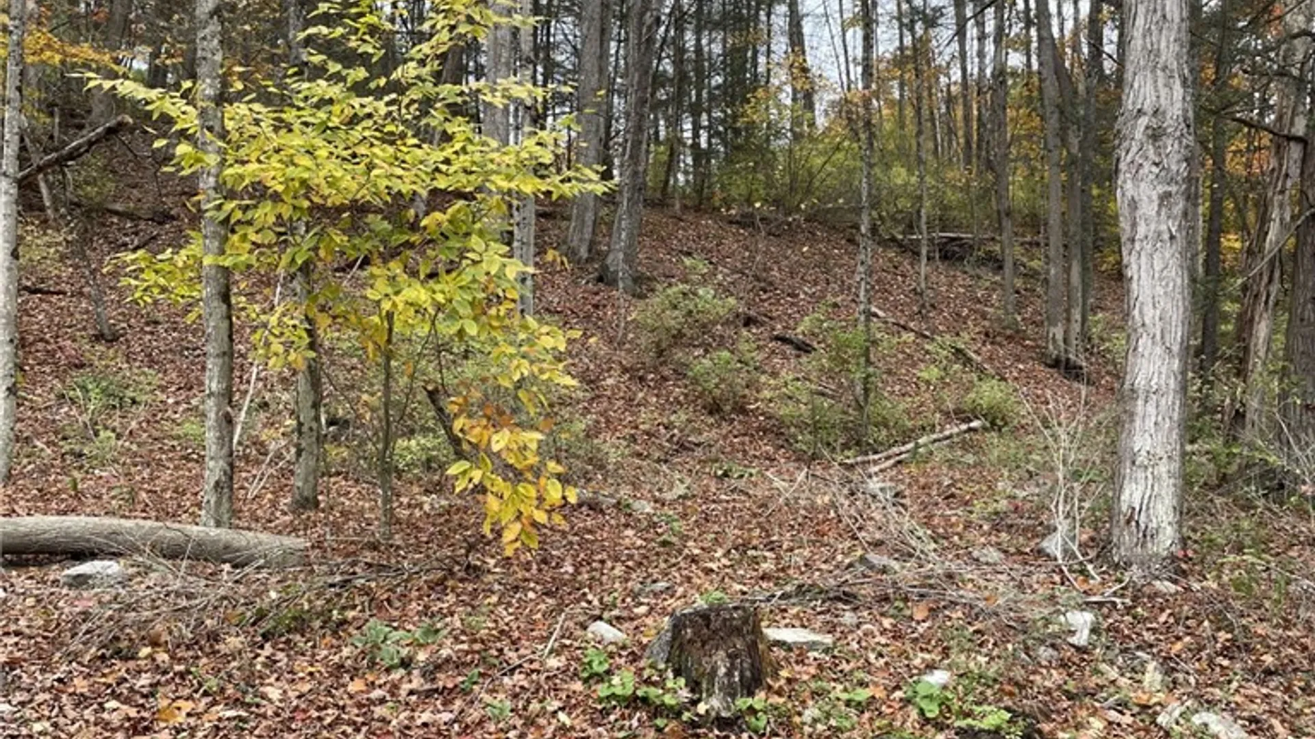 Property at 0 Parker Road, Campbell, NY 14821 7