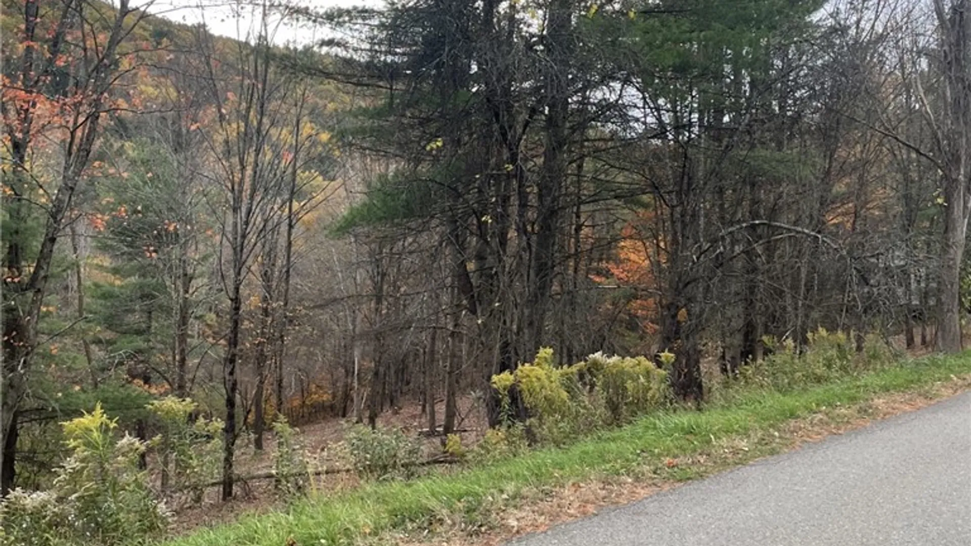 Property at 0 Parker Road, Campbell, NY 14821 9