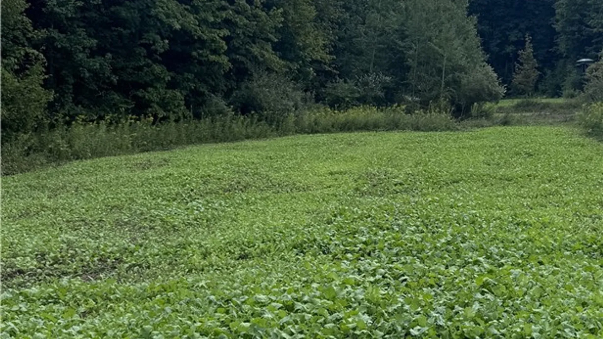 Property at Howlett Hill Road, Onondaga, NY 13215 7