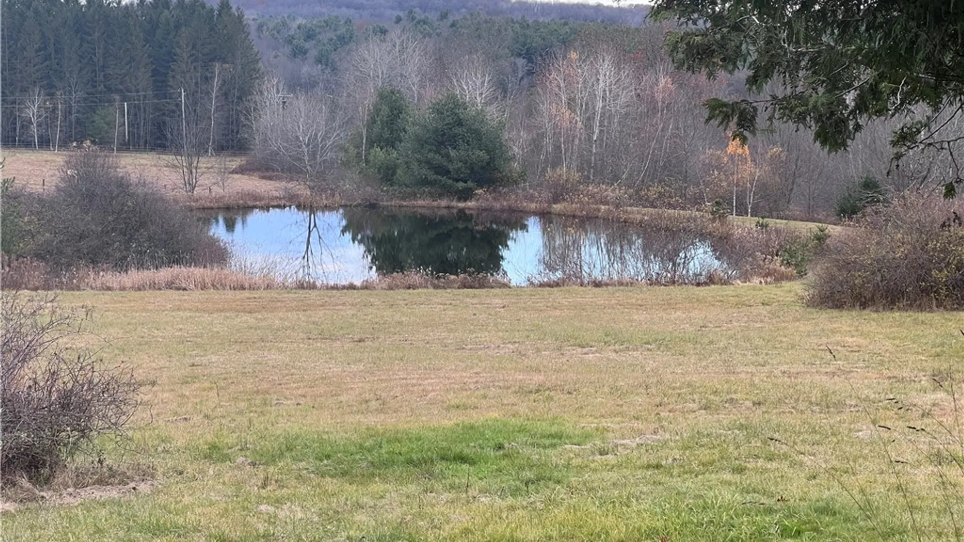 Property at 569 Wilbur Hill Road, Butternuts, NY 13849 36