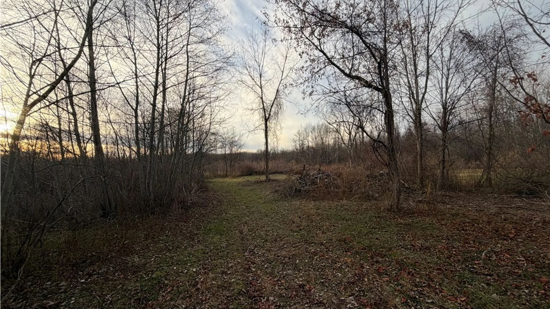 Property at 2026 Harris Road, Carlton, NY 14571 11