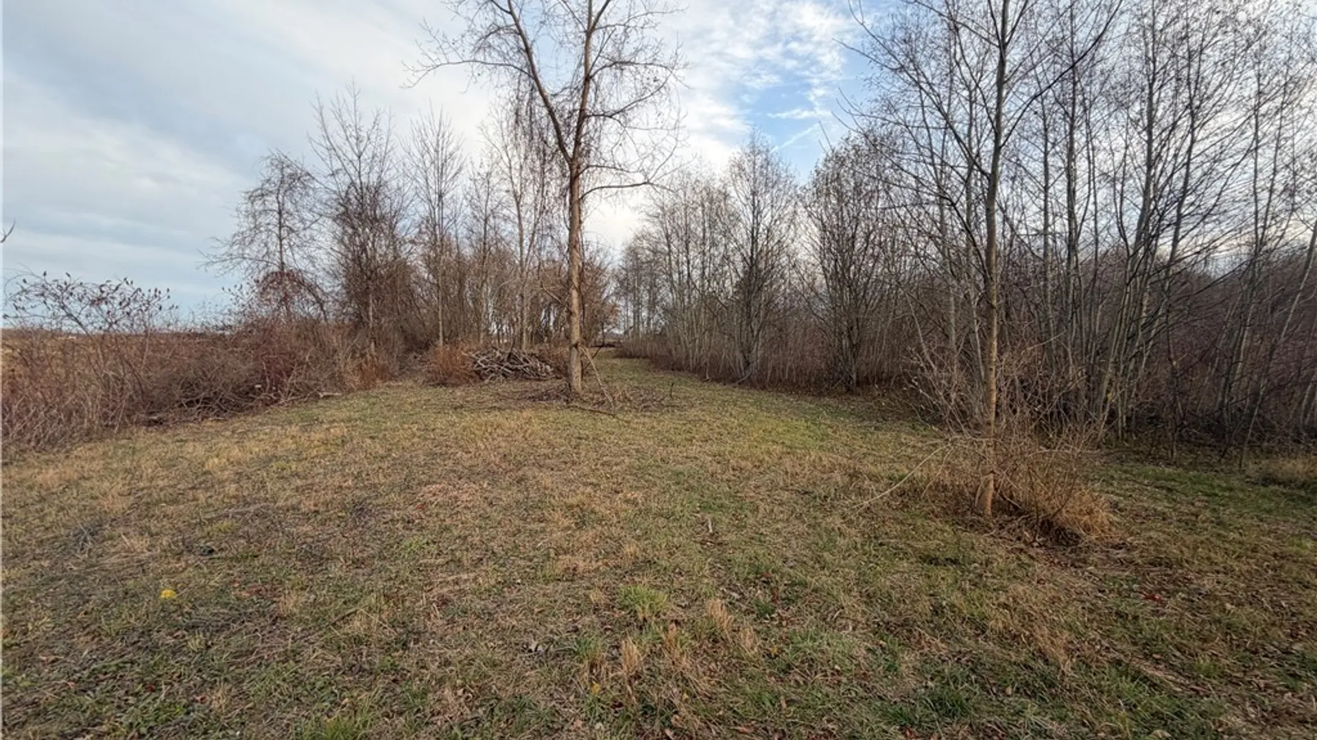 Property at 2026 Harris Road, Carlton, NY 14571 14