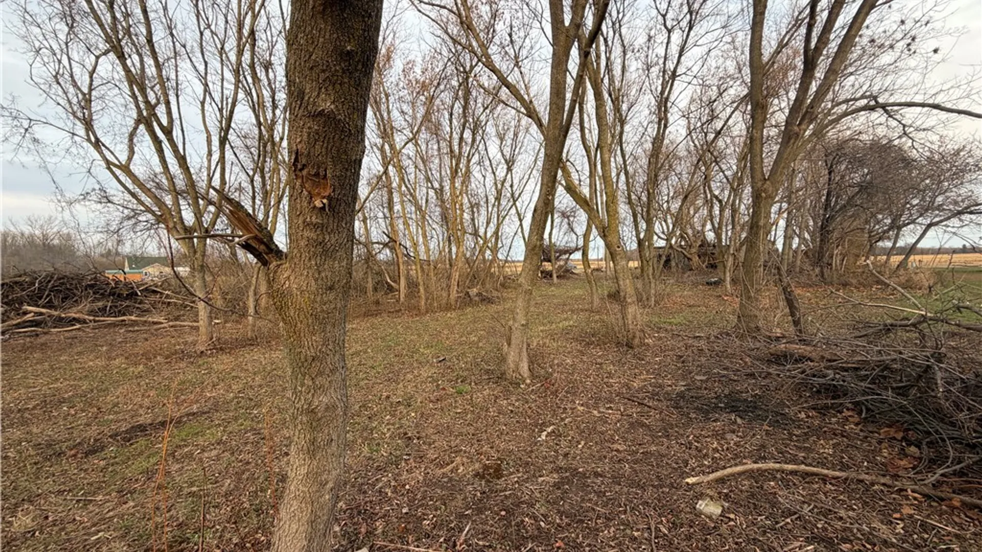 Property at 2026 Harris Road, Carlton, NY 14571 16