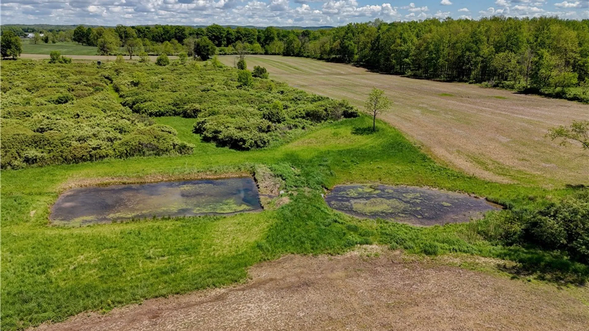 Property at 0 Wesley Road, West Bloomfield, NY 14469 4