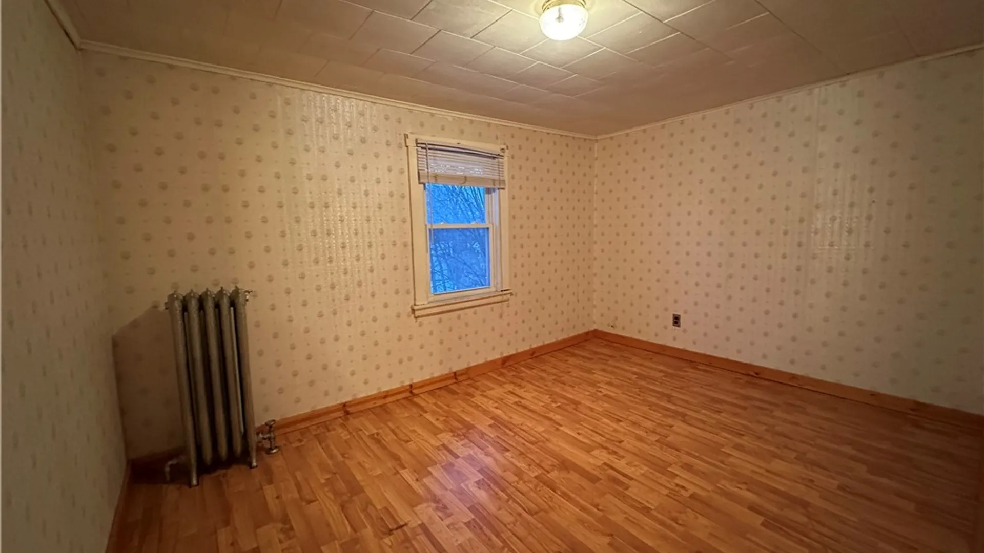 Property at 245 Main Street, Geneva City, NY 14456 24
