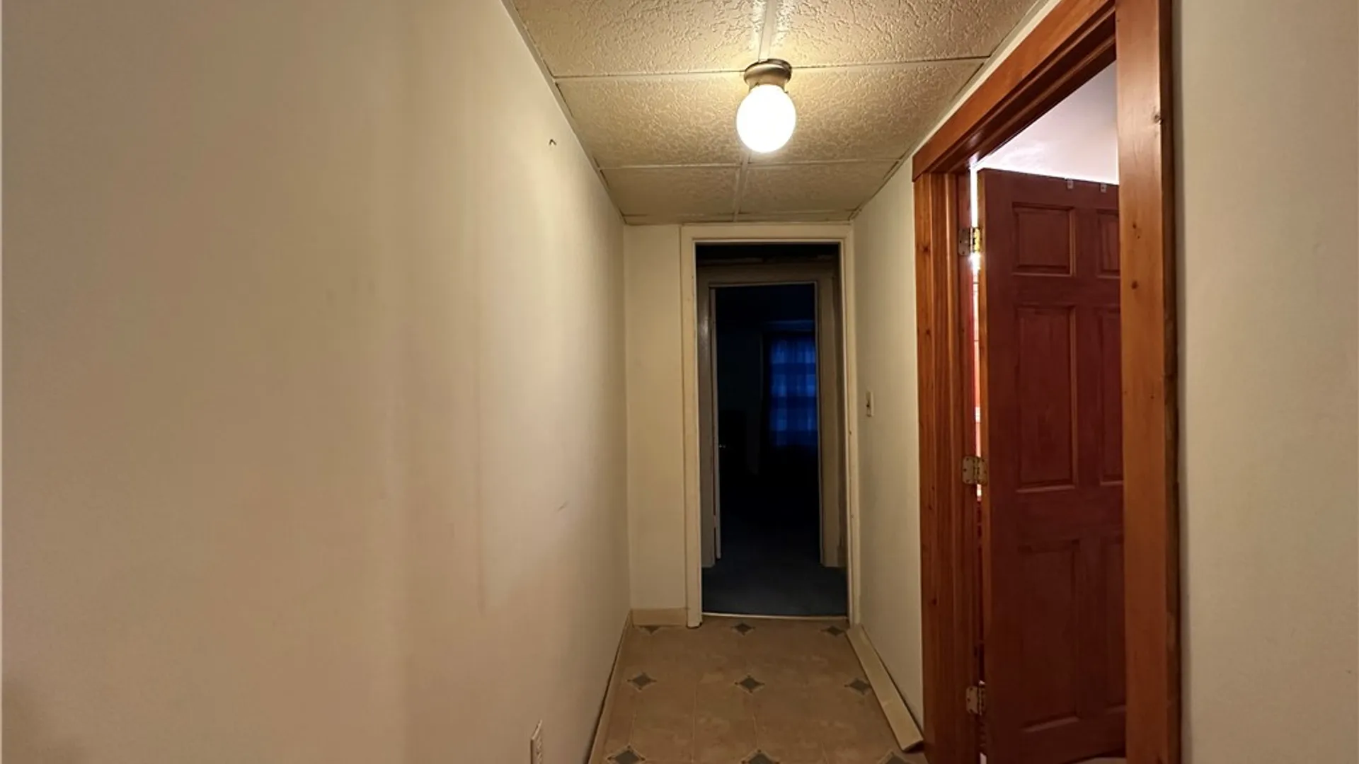 Property at 245 Main Street, Geneva City, NY 14456 25