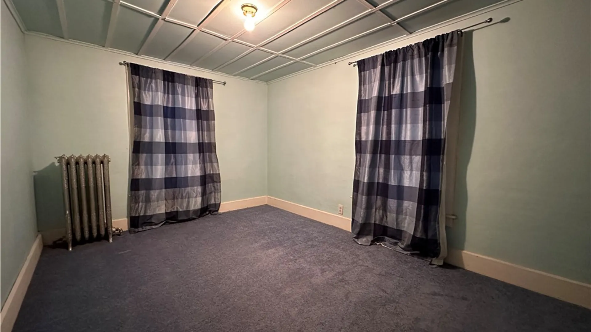 Property at 245 Main Street, Geneva City, NY 14456 29